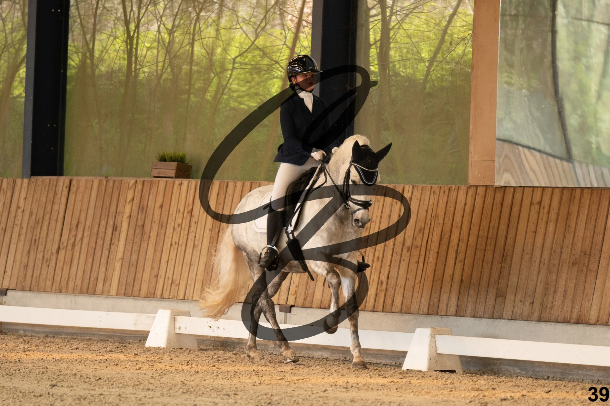 2026.03.22 - Niv3 - pony team test-39.jpg