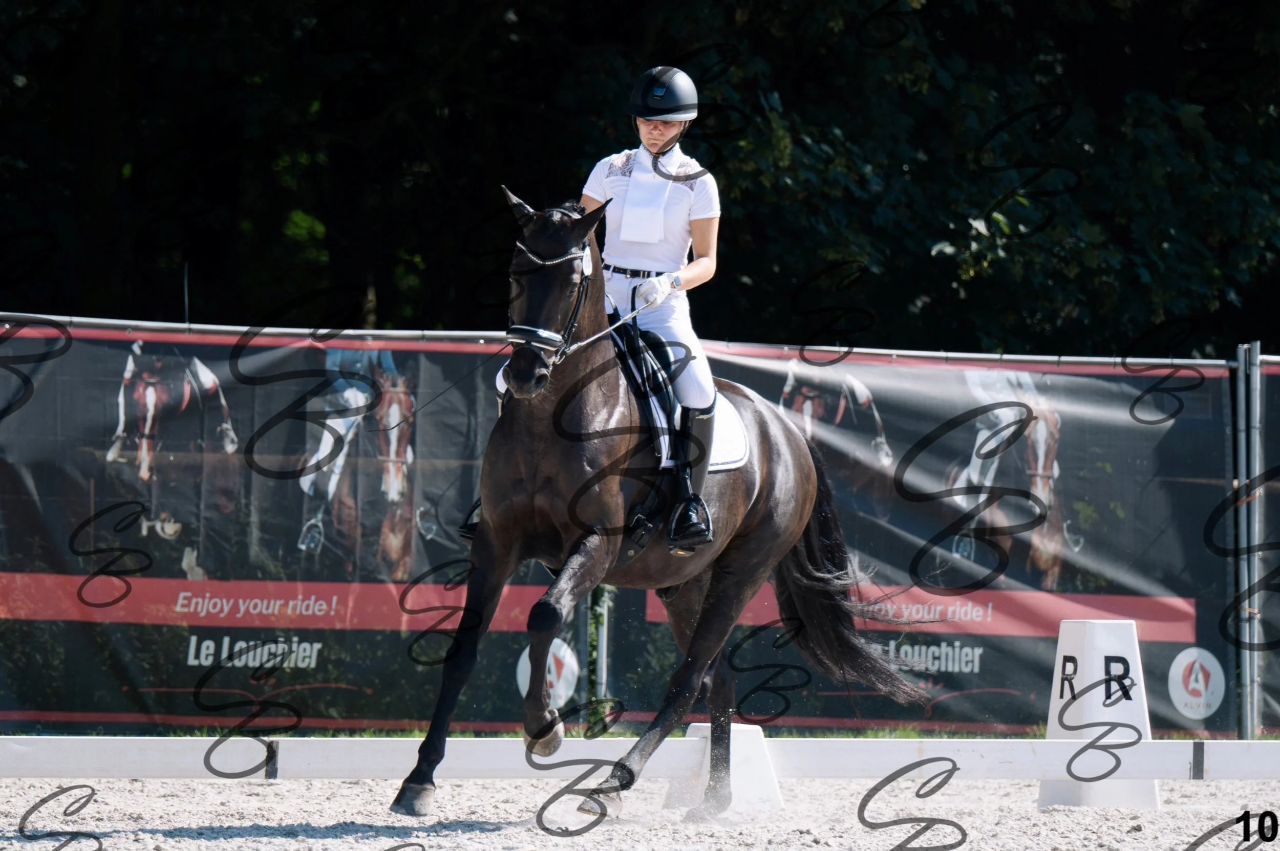 2026.07.12 - Jeunes chevaux - FEI 5YH Preliminary Test-10.jpg