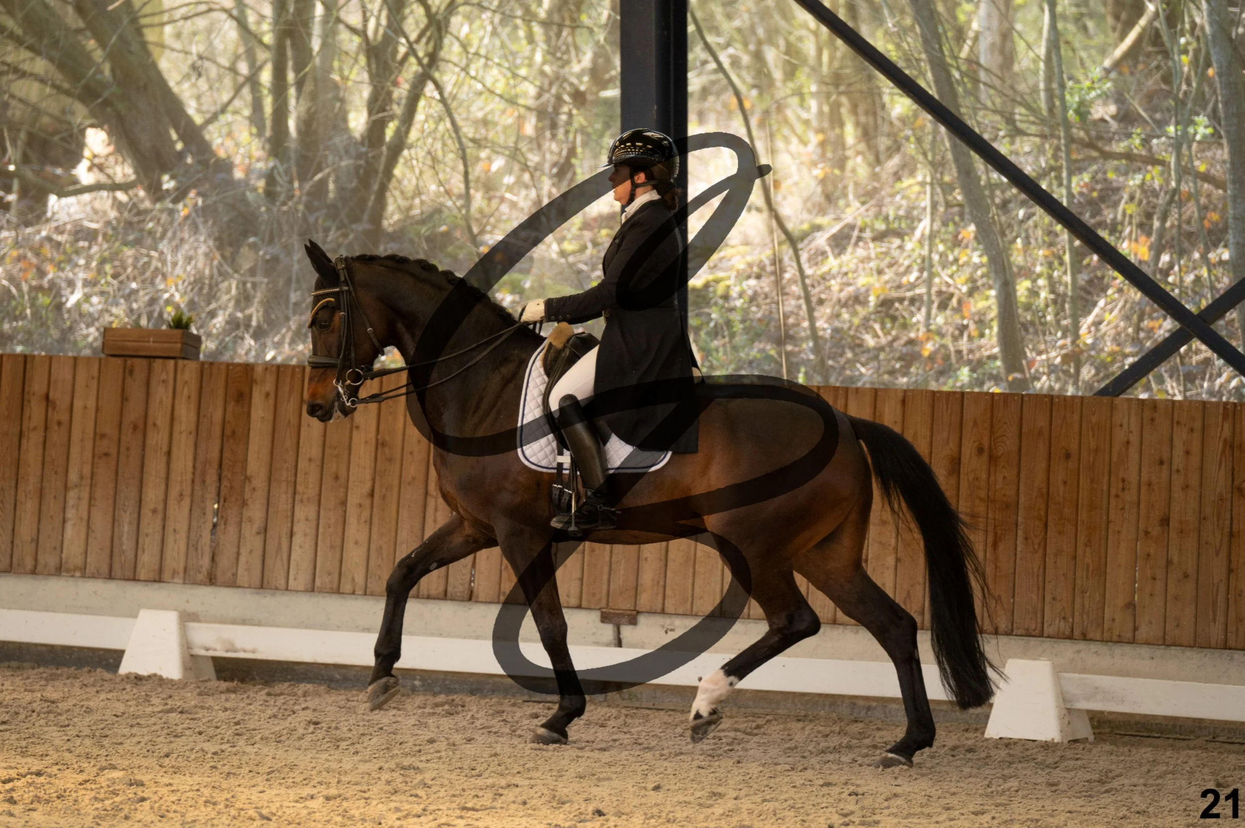 2026.03.22 - grand prix-21.jpg