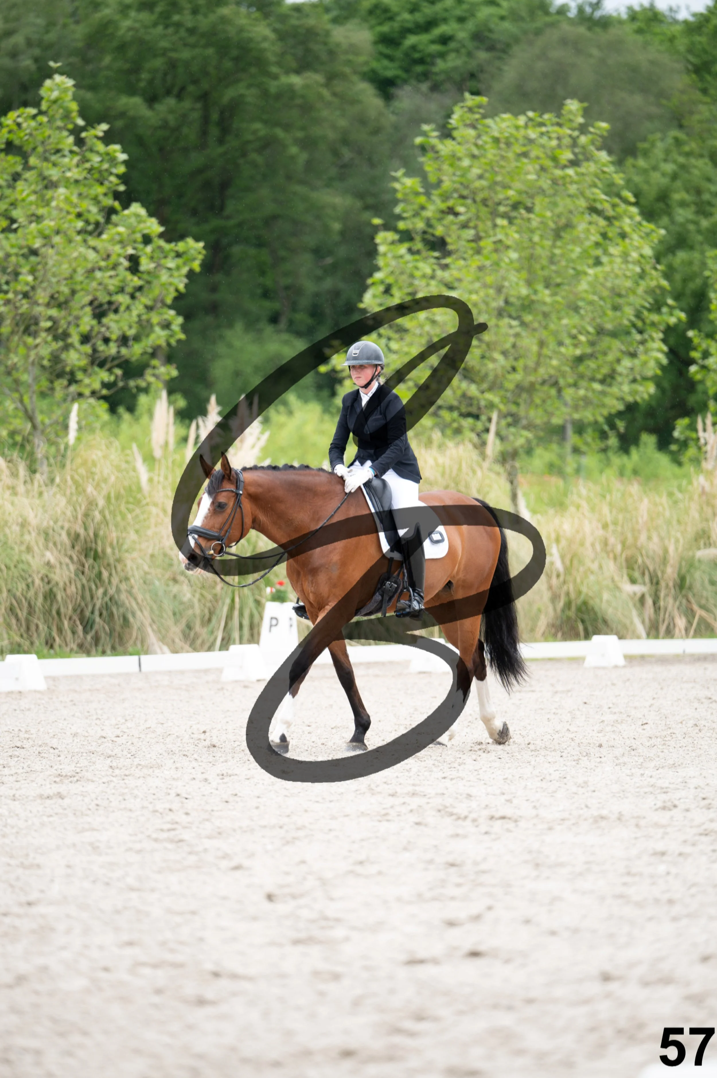 03052026-FLE_7004.jpg