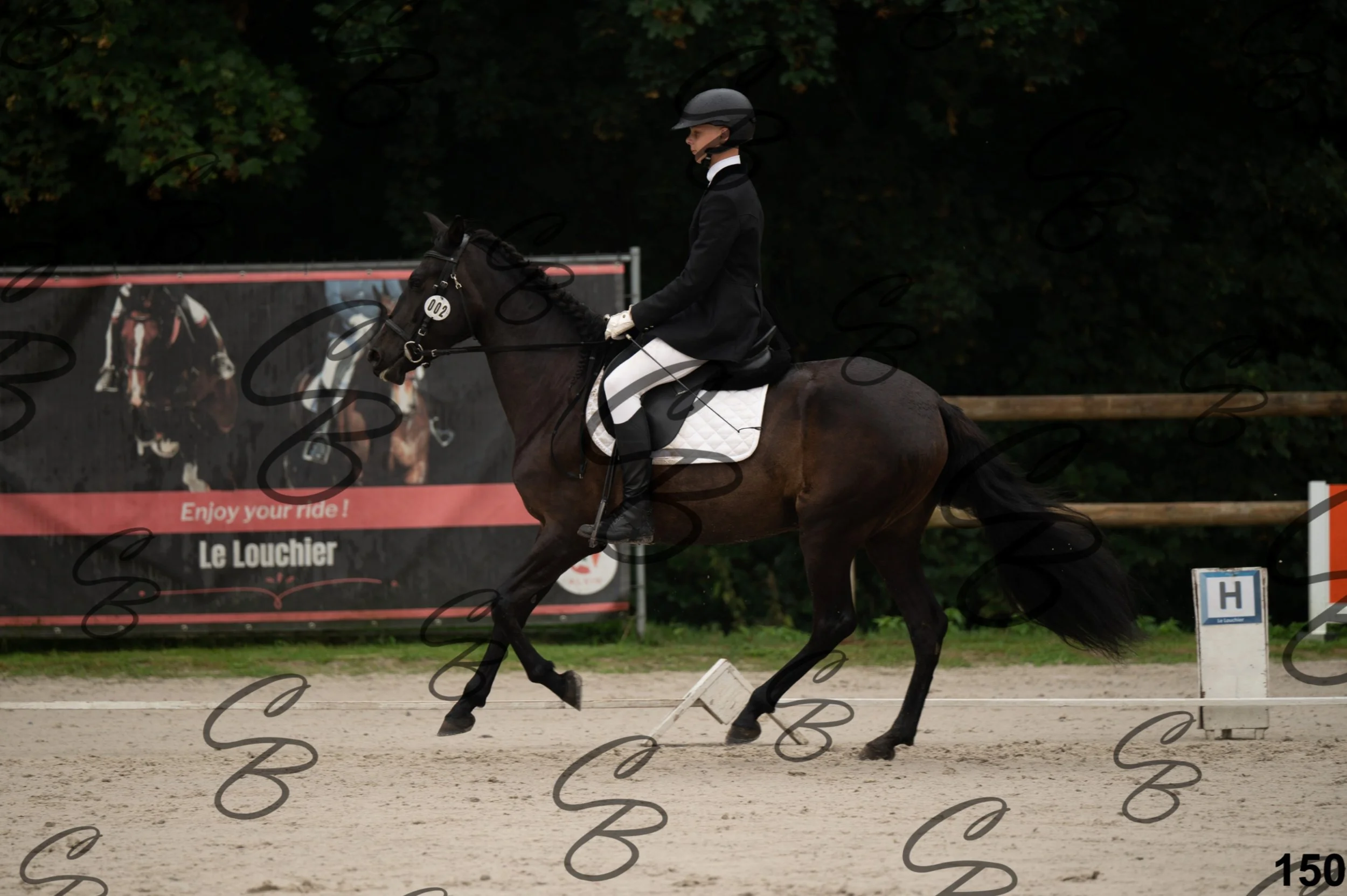 2026.08.15 - Louchier - GHO-231.jpg