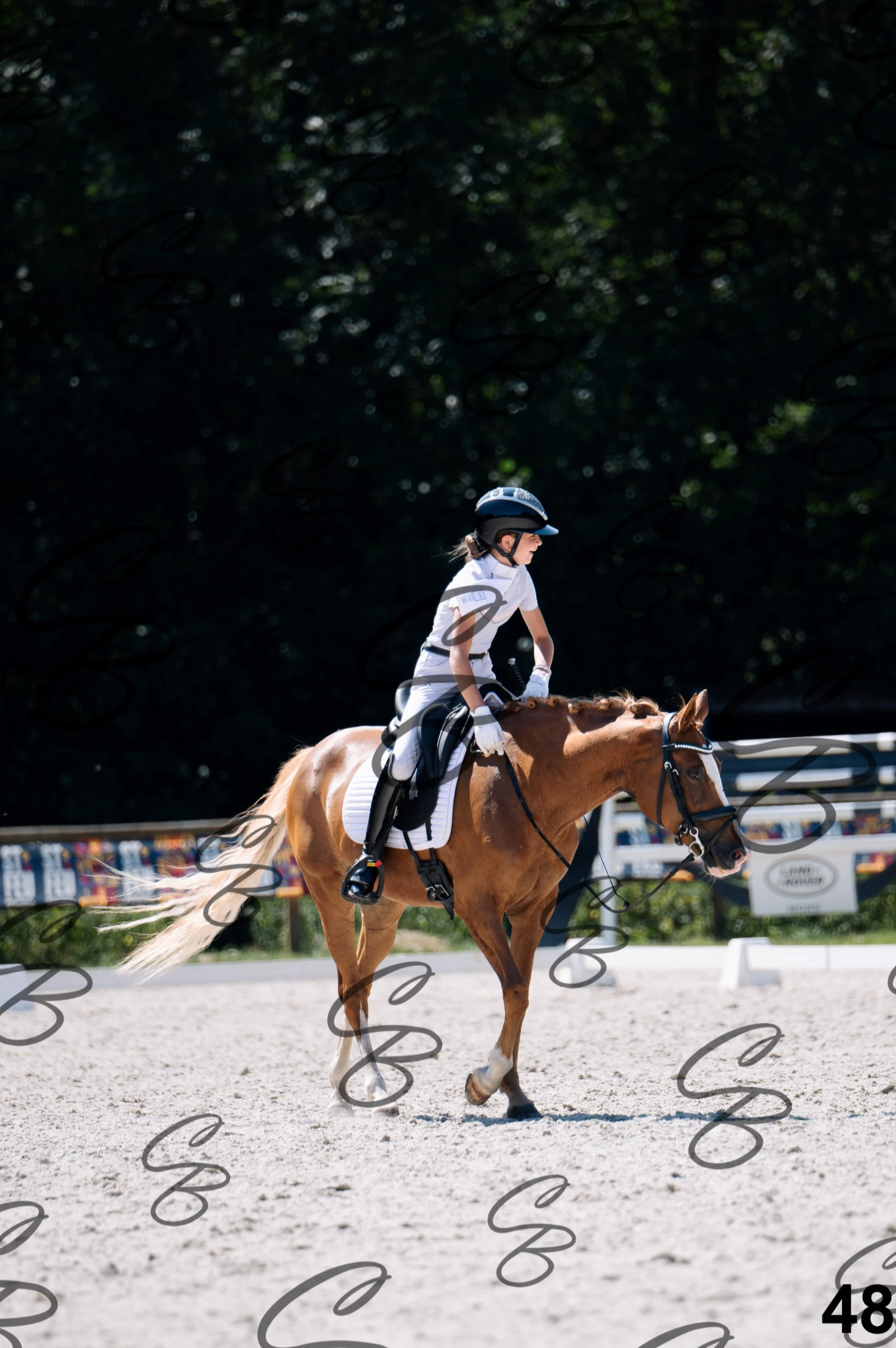 2026.07.12 - Niveau 2 - N2.4-48.jpg