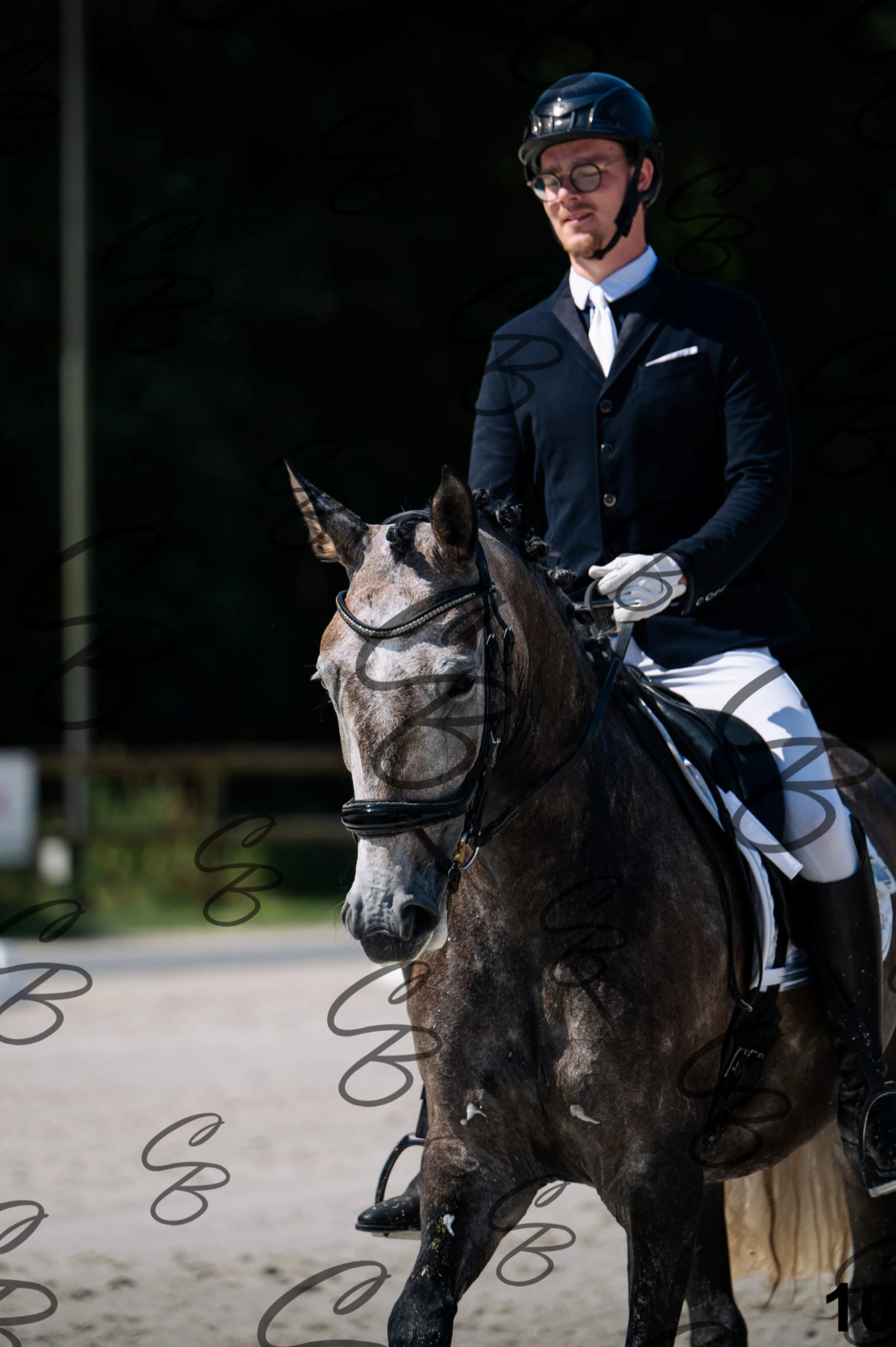2026.07.11 - 2 Novilla - Jonge paarden - Jeunes chevaux - NOVILLA-10.jpg