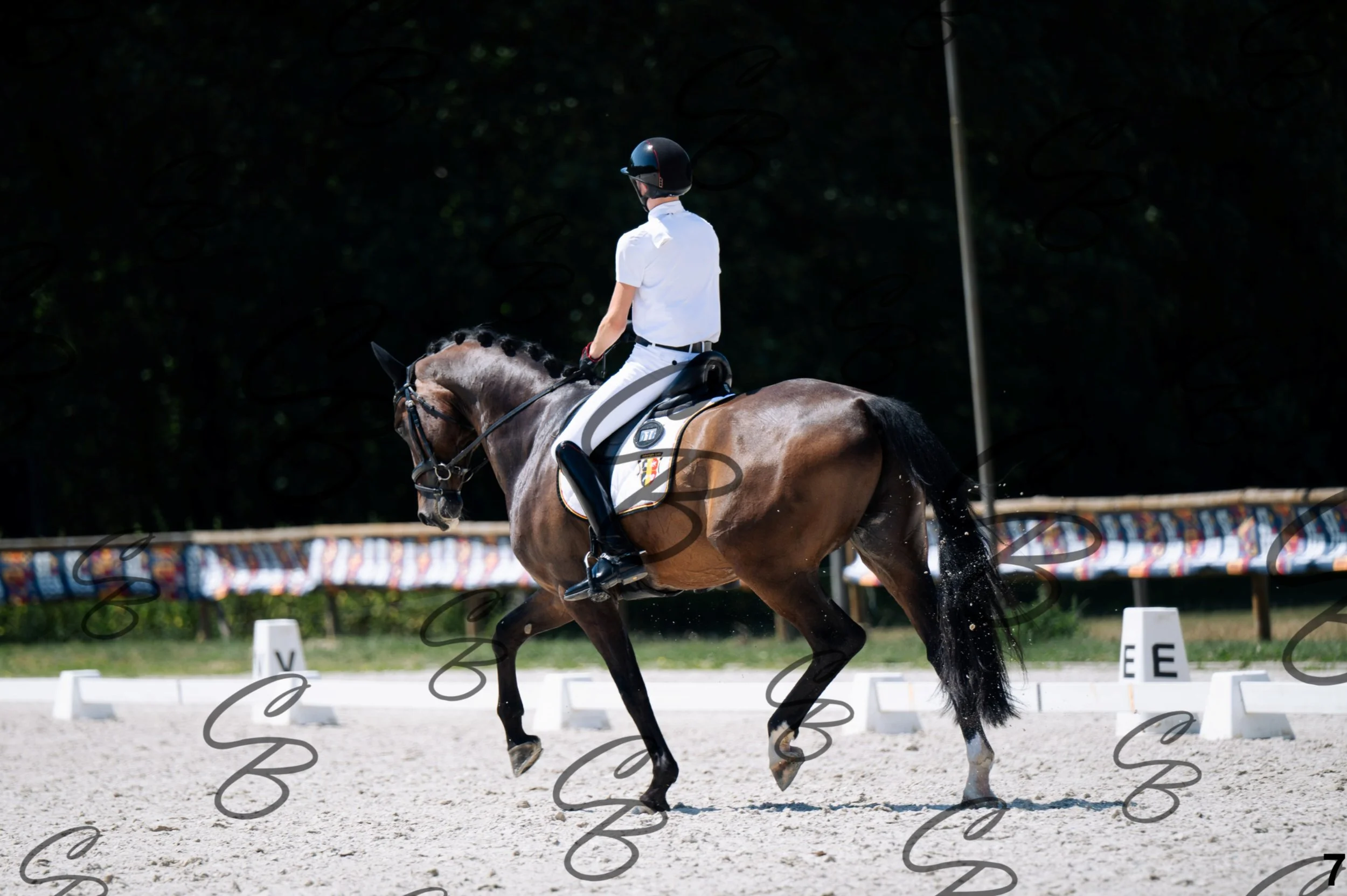 2026.07.12 - Jeunes chevaux - FEI 6YH Preliminary Test-7.jpg