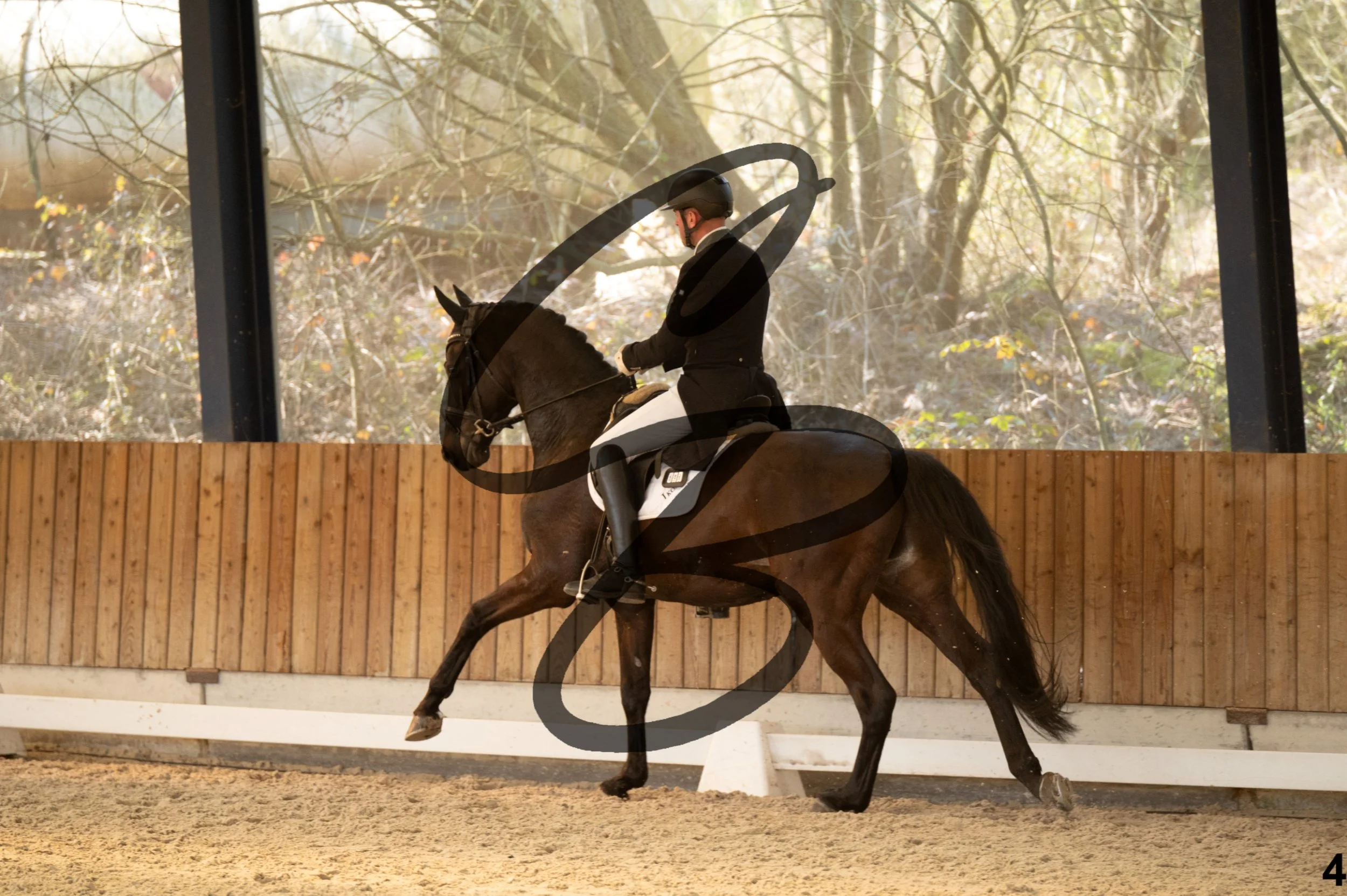 2026.03.22 - 7 ans - jeunes chevaux-21.jpg