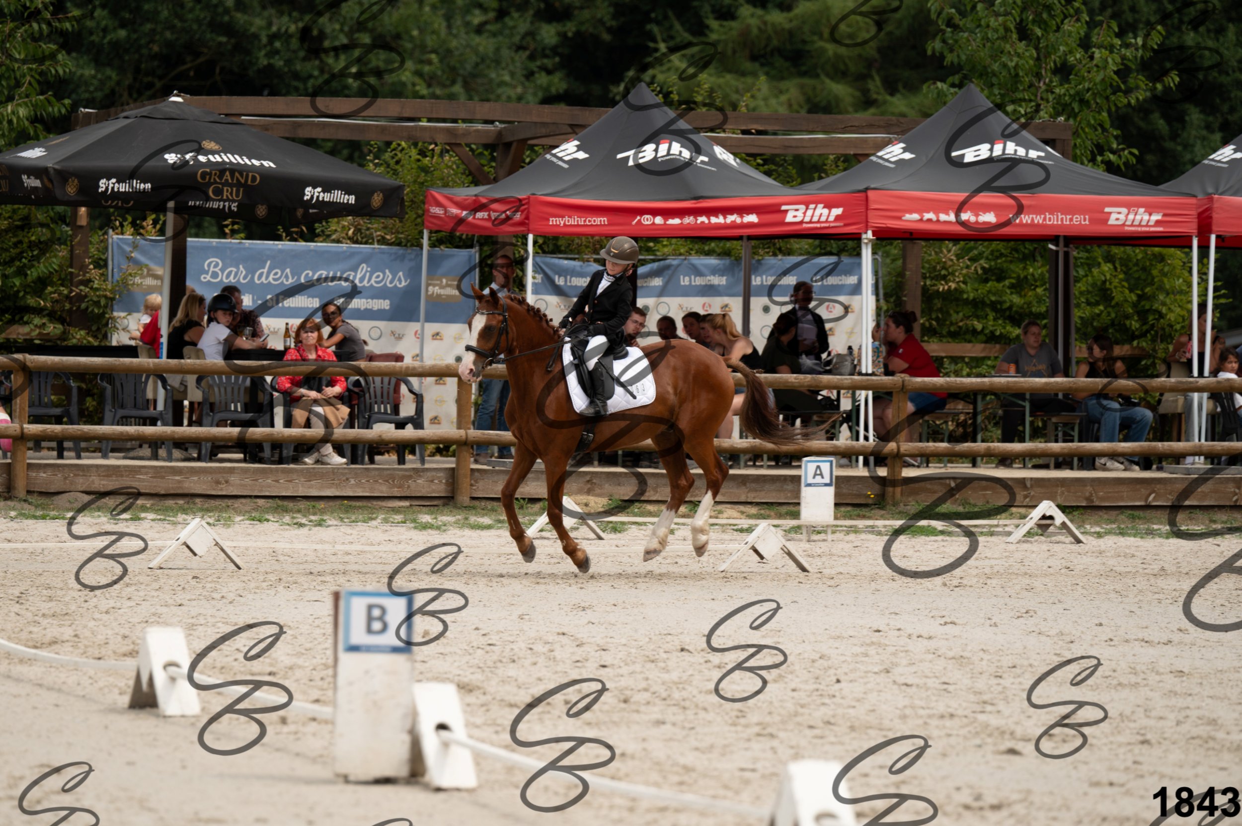 2026.08.16 - Louchier - GHO-29.jpg