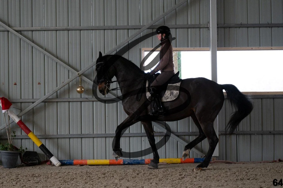 2025.12.06 - Manon&Dab-64.jpg
