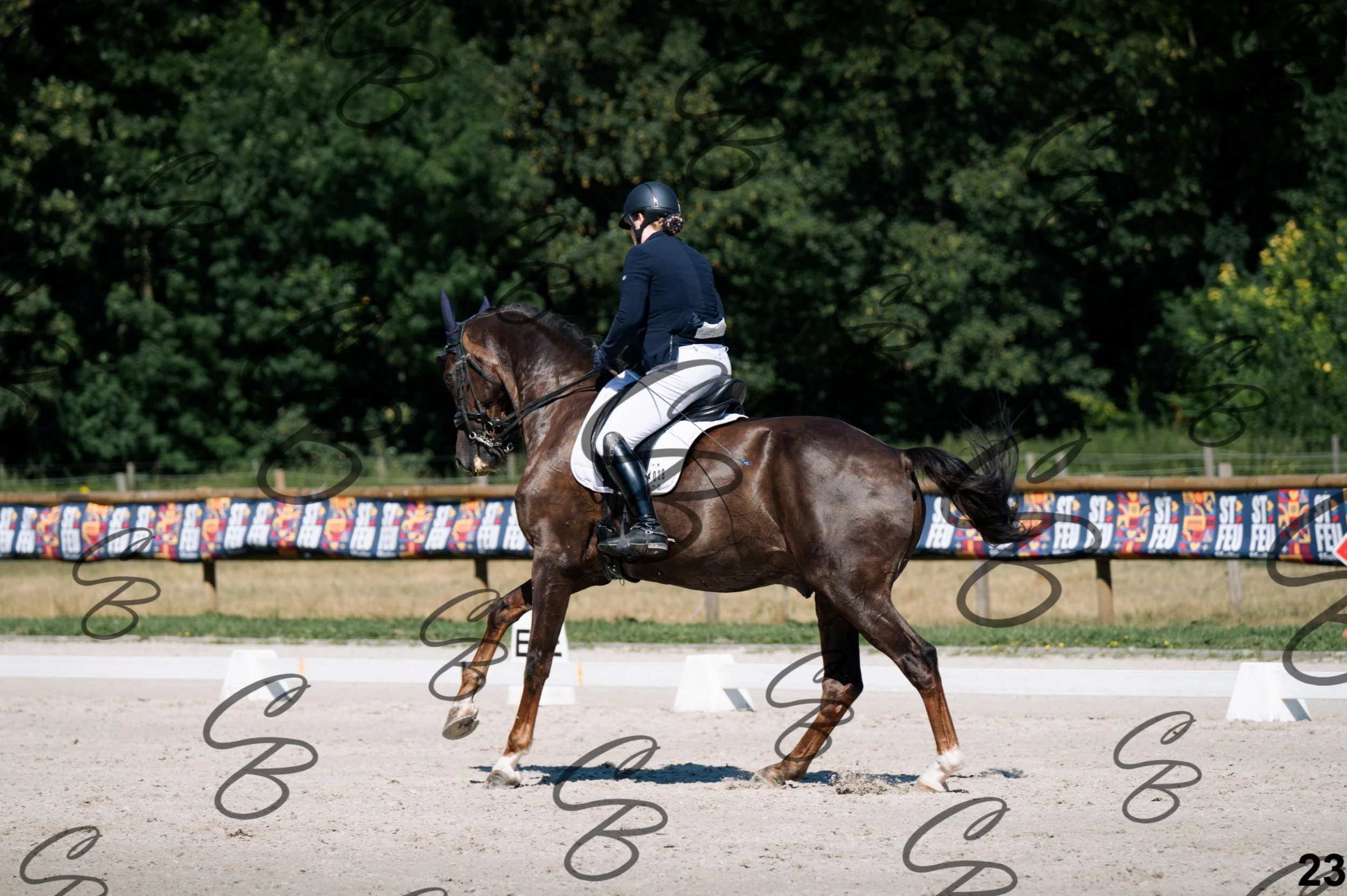 2026.07.12 - Niveau 4 - N4.3-23.jpg