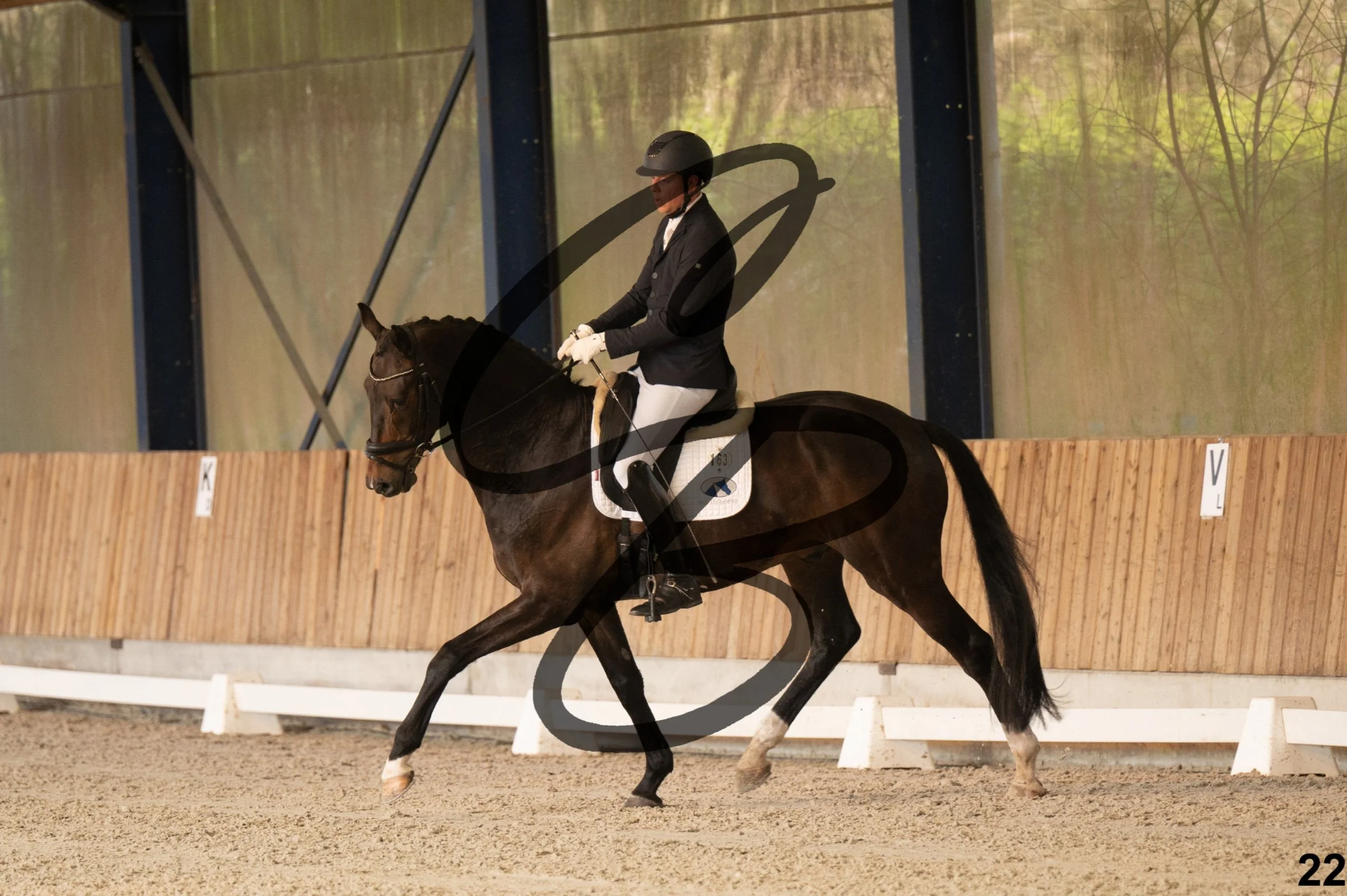 2026.03.22 - jeunes chevaux - 6ans-22.jpg