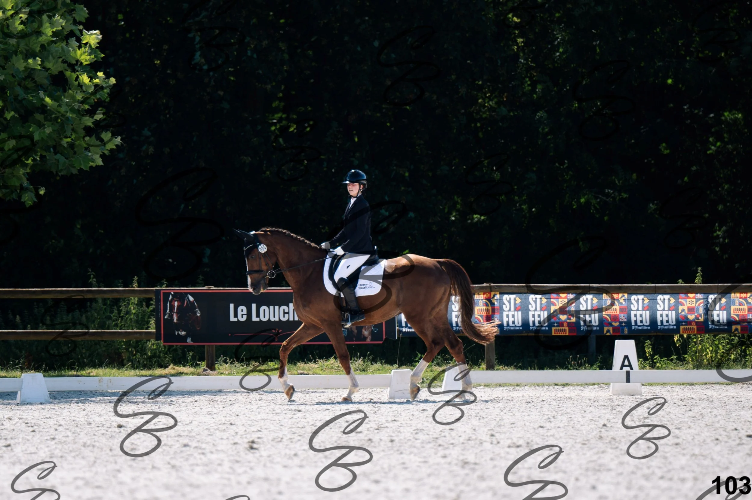 2026.07.12 - Niveau 2 - N2.4-103.jpg