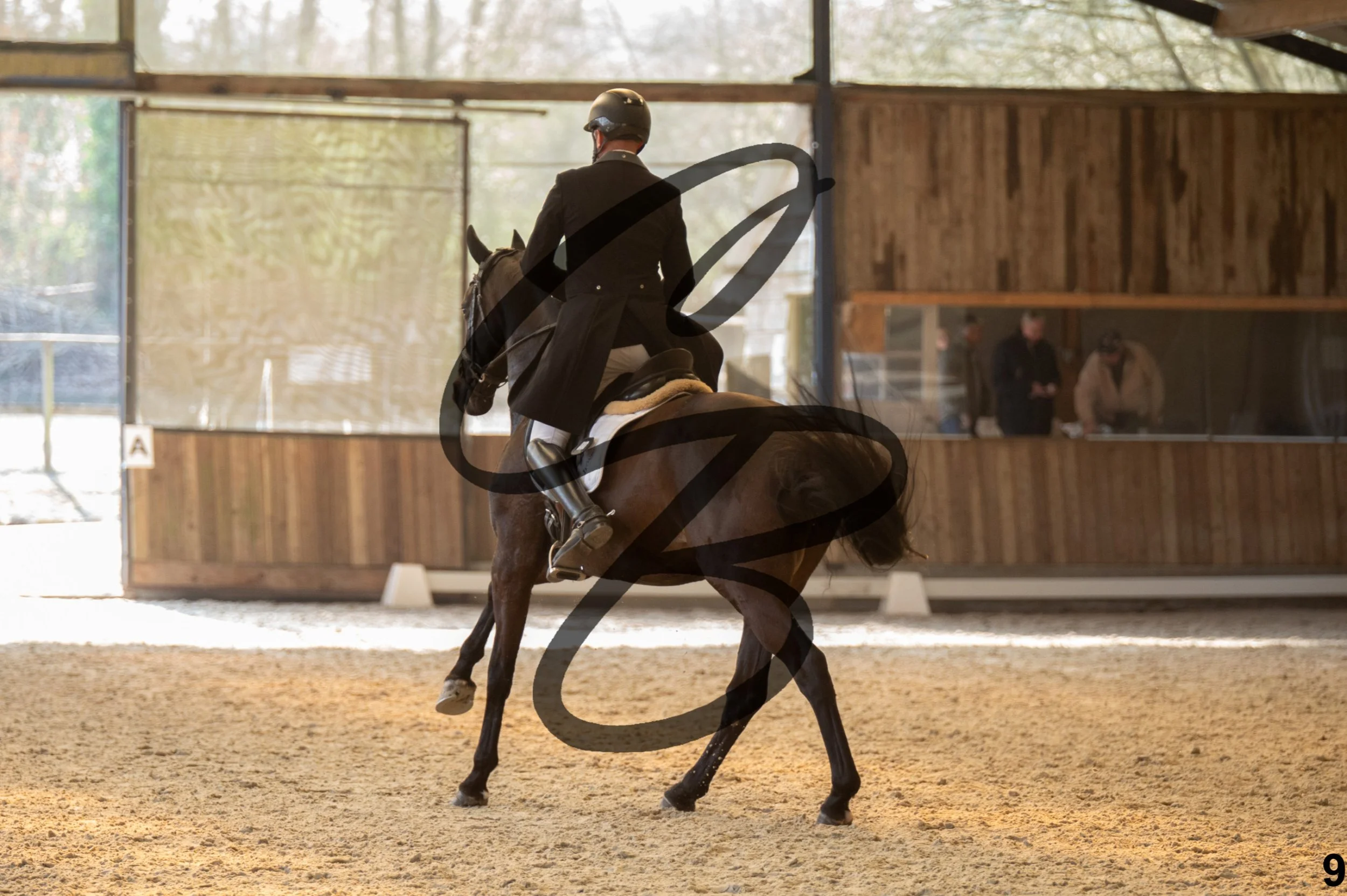 2026.03.22 - 7 ans - jeunes chevaux-26.jpg