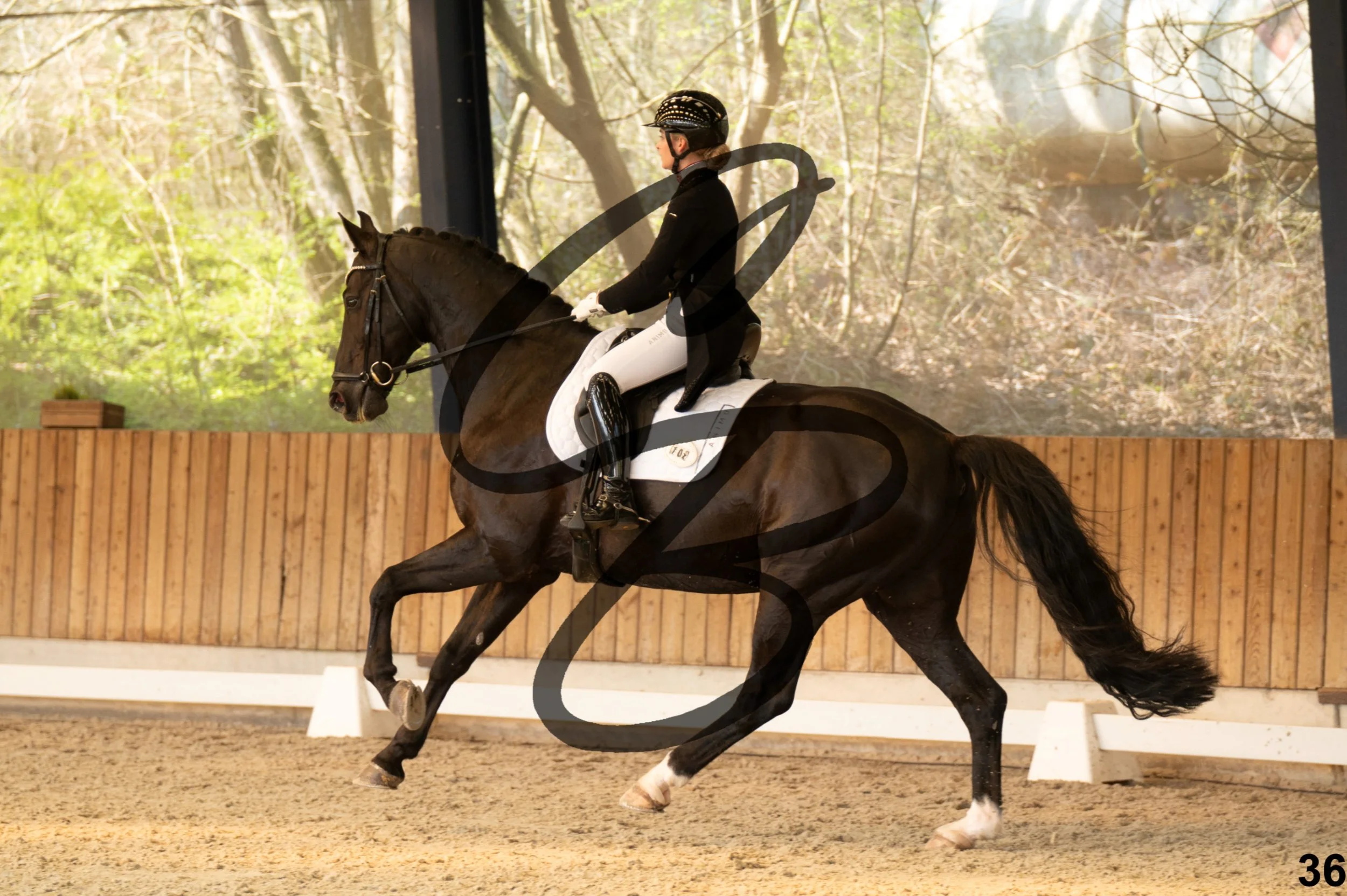 2026.03.22 - Niv5 - Young rider team-36.jpg