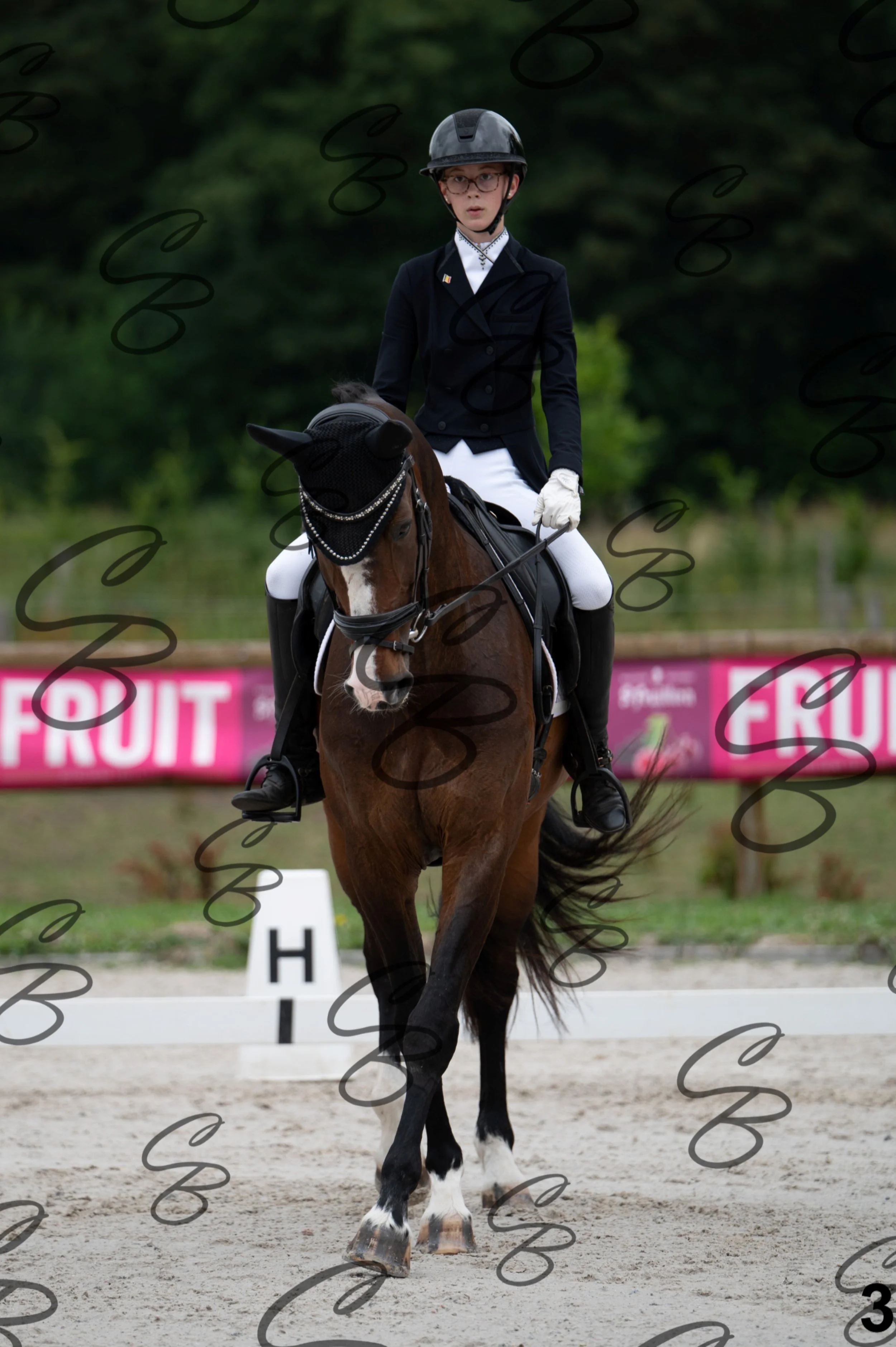 2026.07.04 - Jolien Berckmans-3.jpg