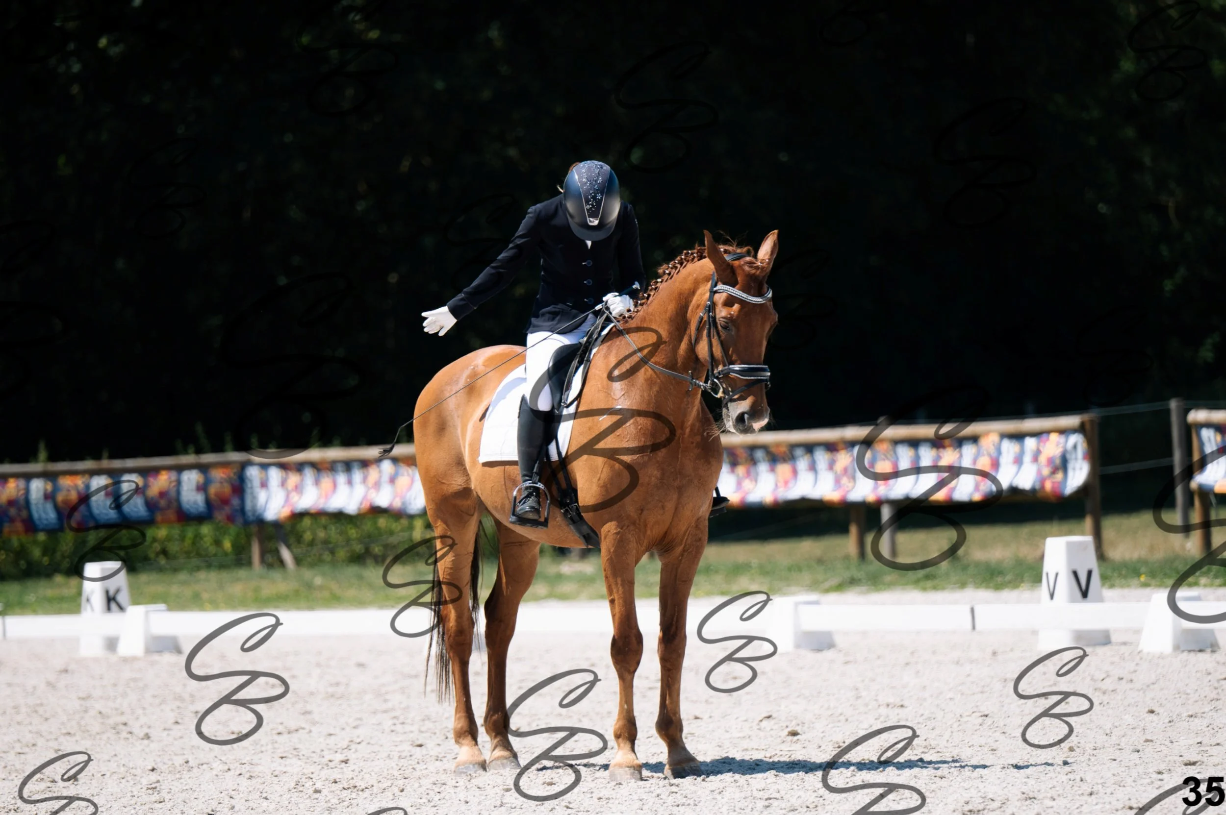 2026.07.12 - Niveau 5 - S3-35.jpg