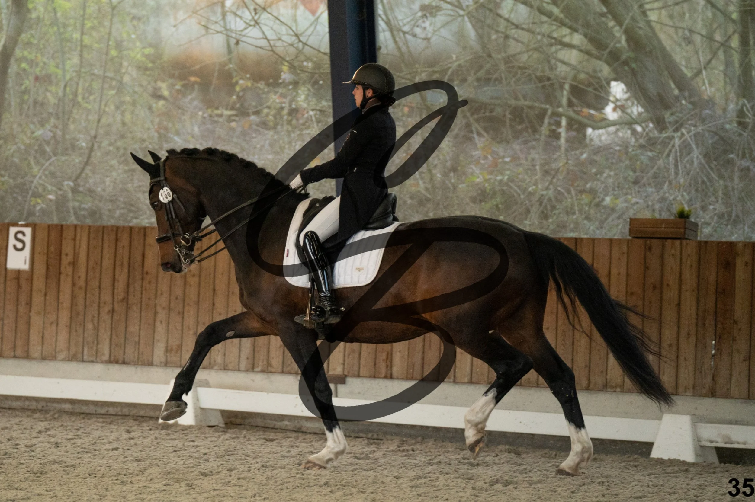 2026.03.22 - niv5 - saint georges-35.jpg