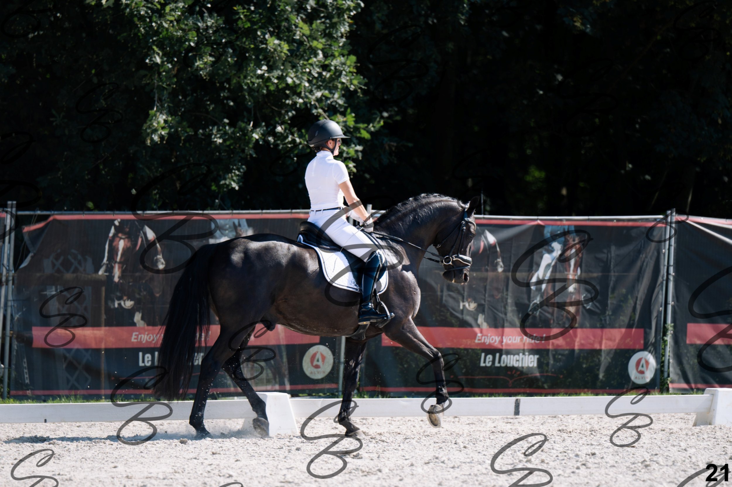 2026.07.12 - Jeunes chevaux - FEI 5YH Preliminary Test-21.jpg