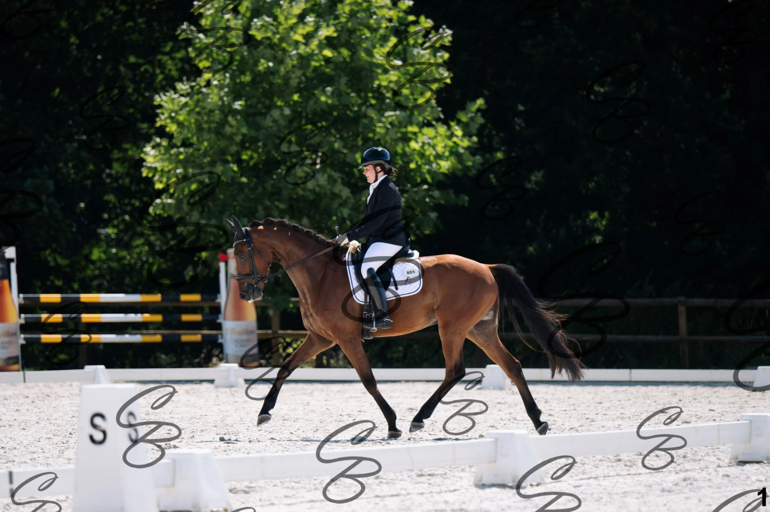 2026.07.12 - Jeunes chevaux - FEI 4YH Final Test-1.jpg
