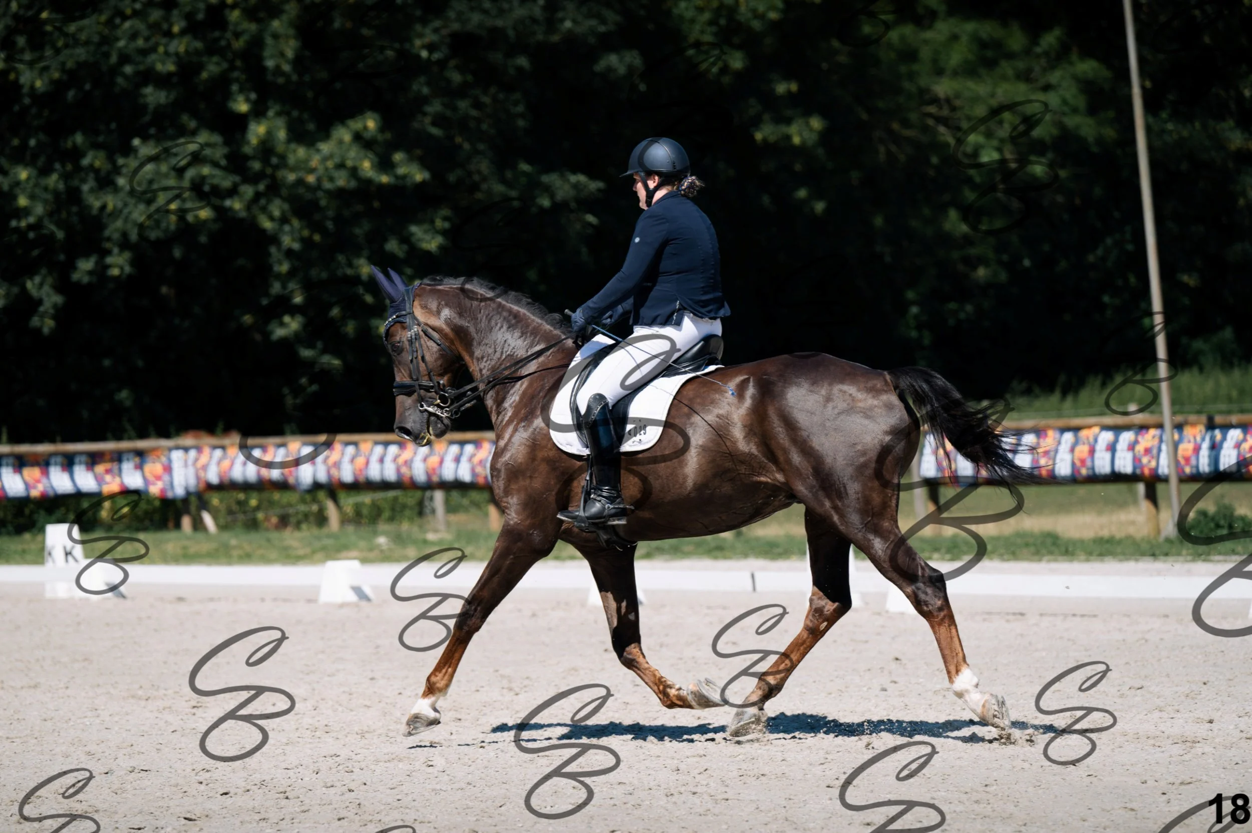 2026.07.12 - Niveau 4 - N4.3-18.jpg