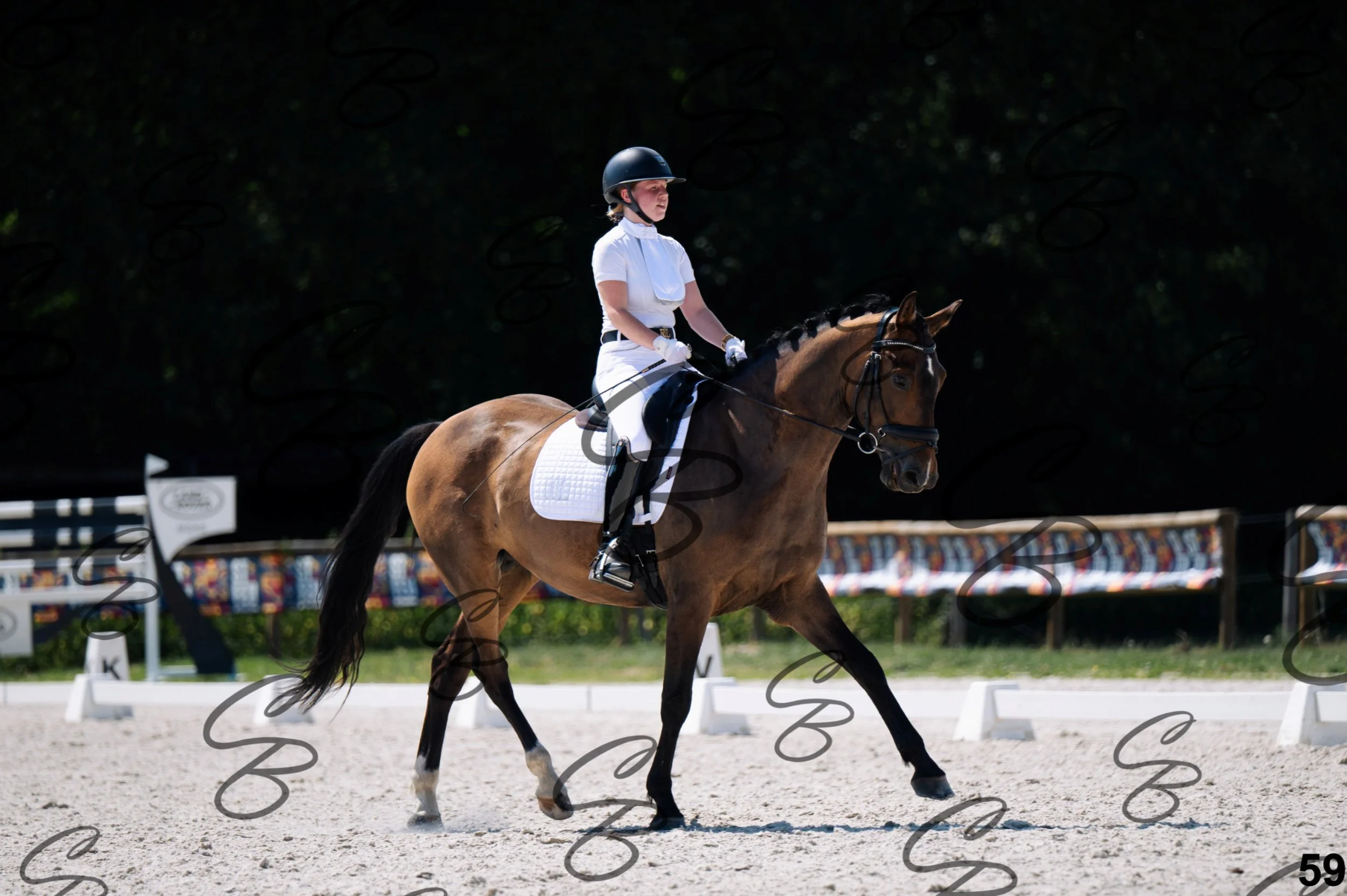2026.07.12 - Niveau 2 - N2.4-59.jpg