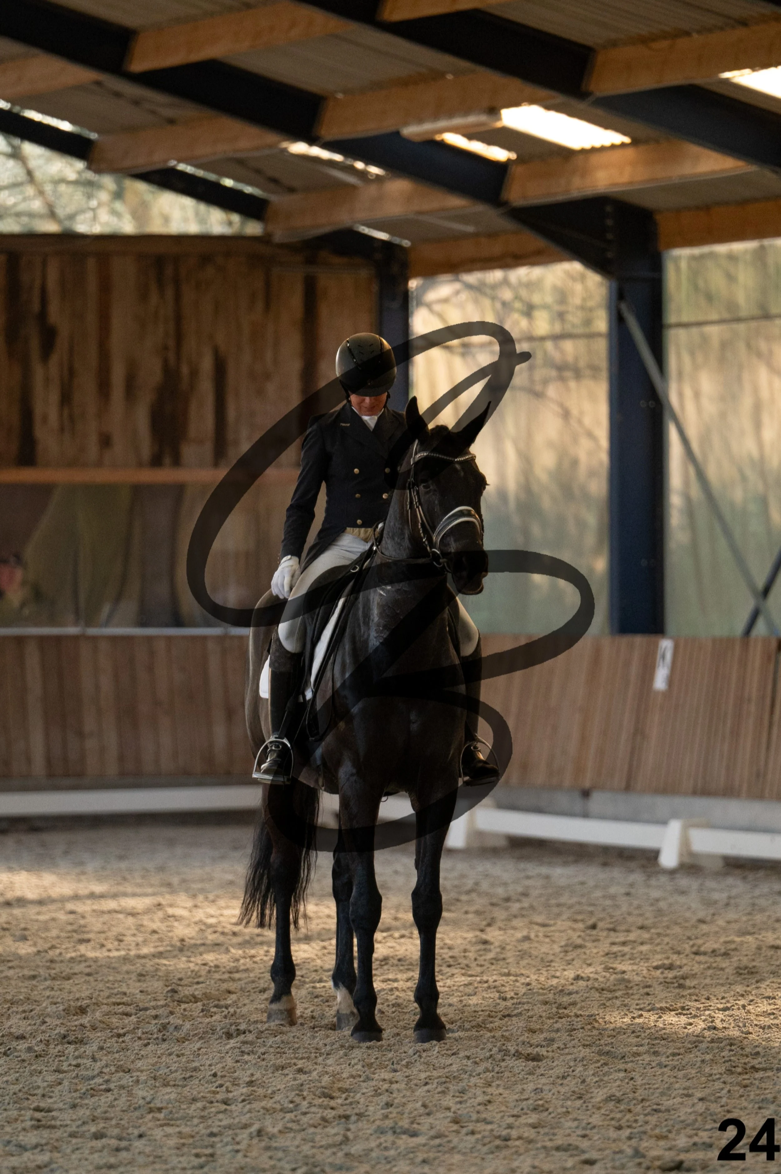 2026.03.22 - niv4.2-24.jpg