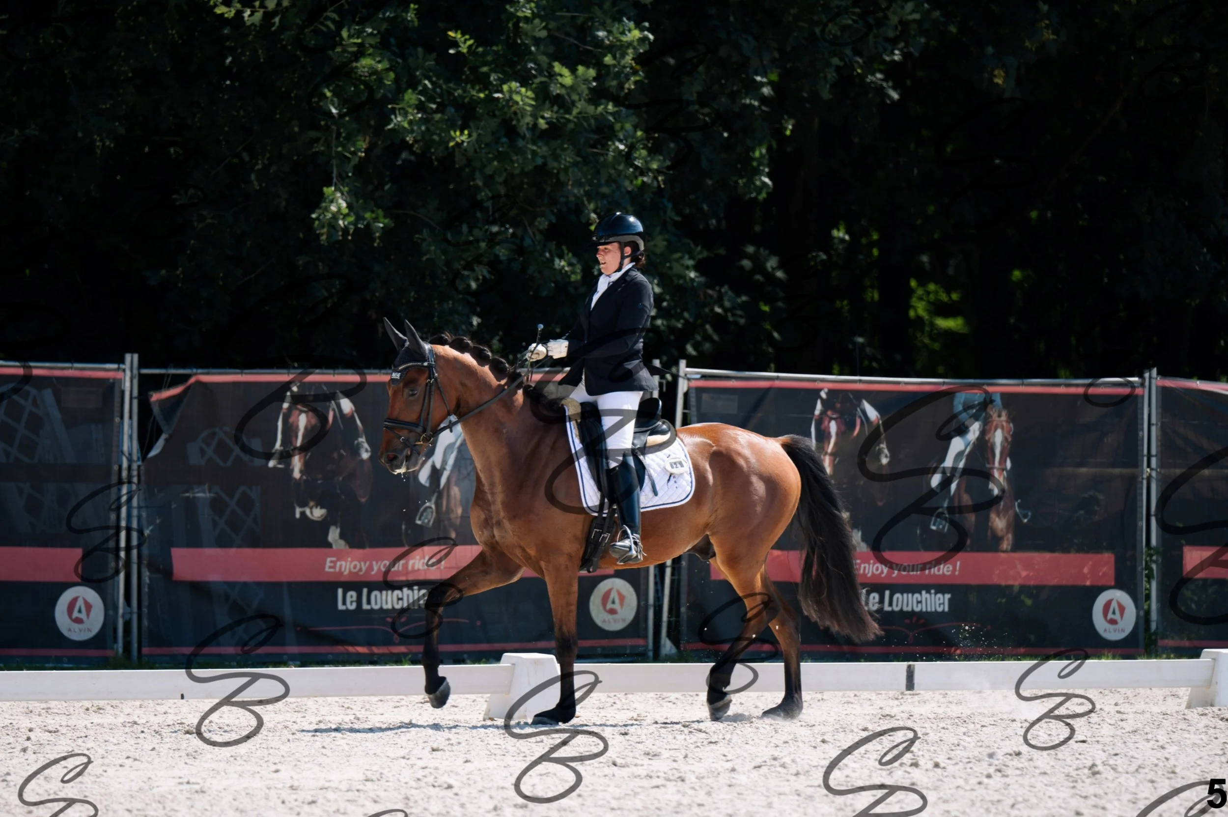2026.07.12 - Jeunes chevaux - FEI 4YH Final Test-5.jpg
