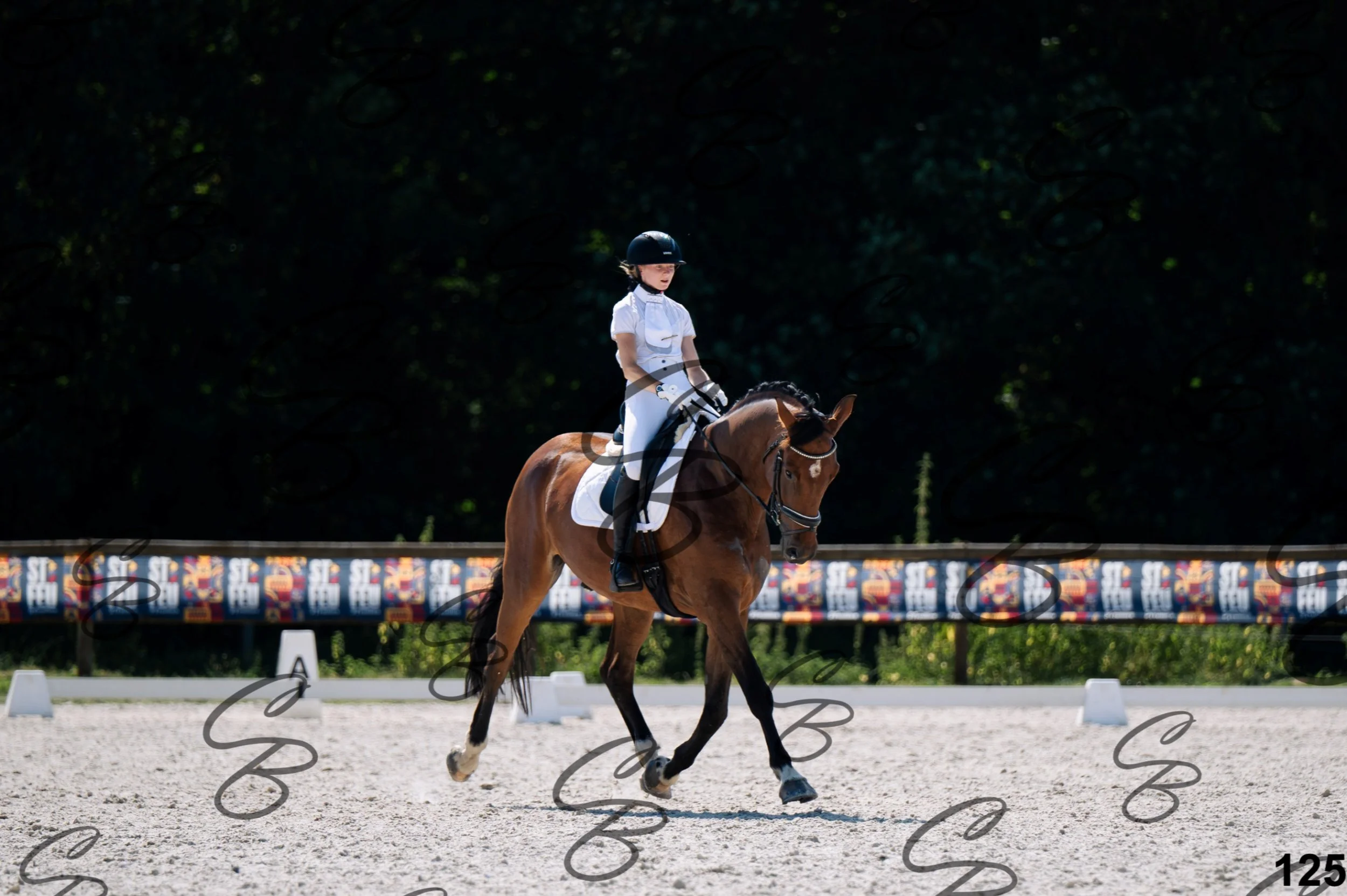2026.07.12 - Niveau 2 - N2.4-125.jpg