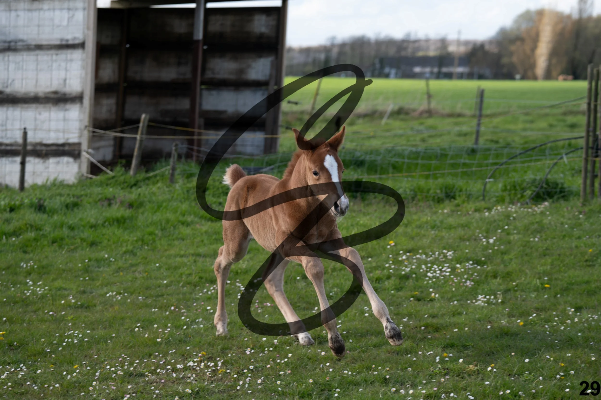 2026.03.28 - Galerie photo - shooting concours-33.jpg