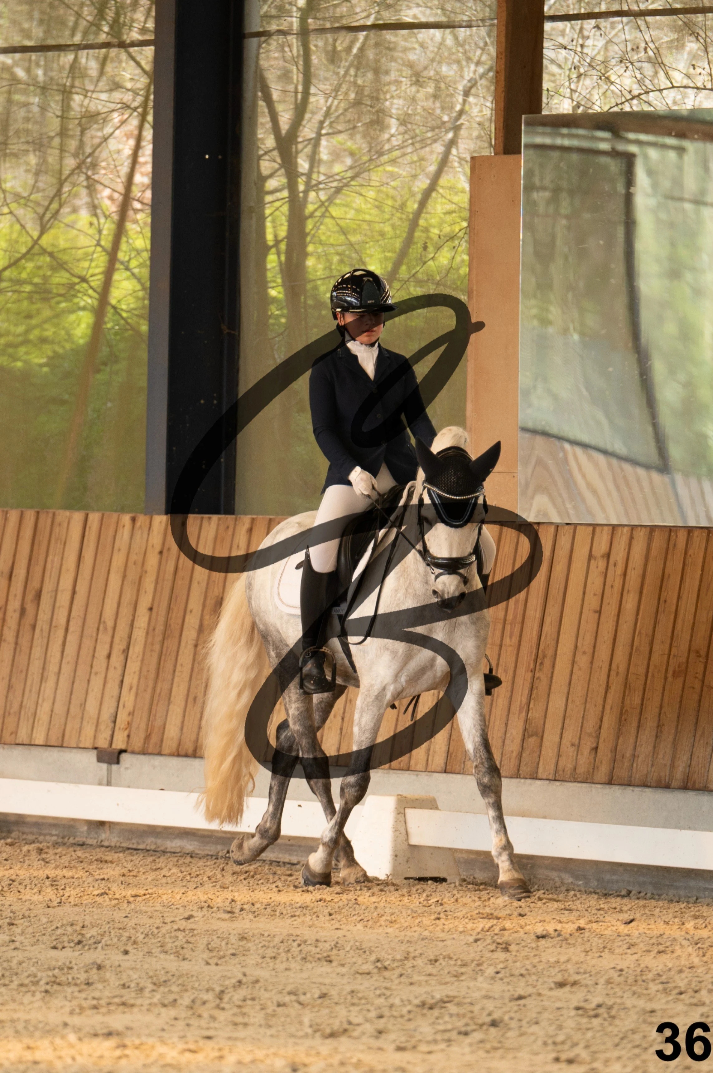 2026.03.22 - Niv3 - pony team test-36.jpg