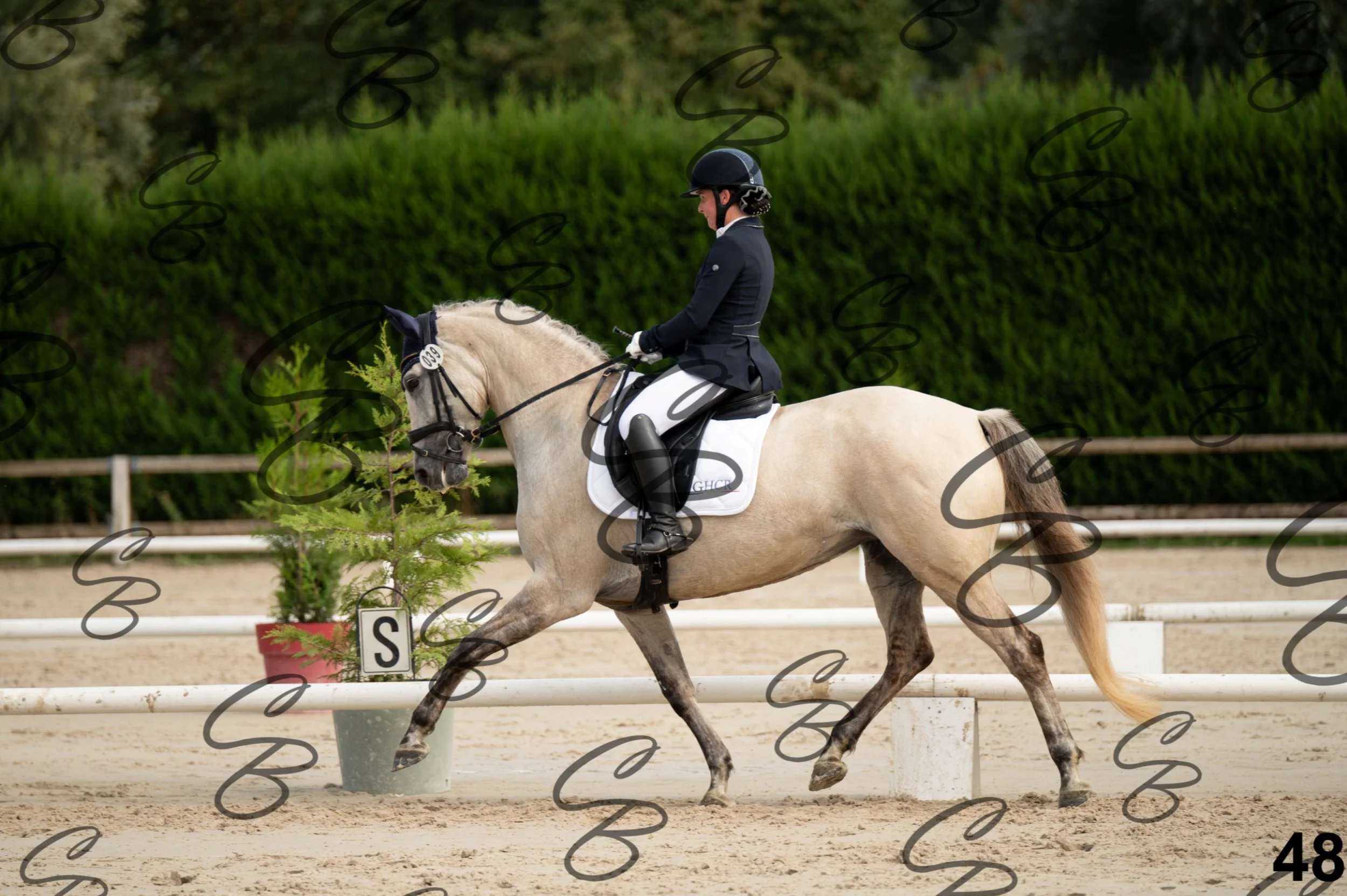 2026.09.20 - Djessy-48.jpg