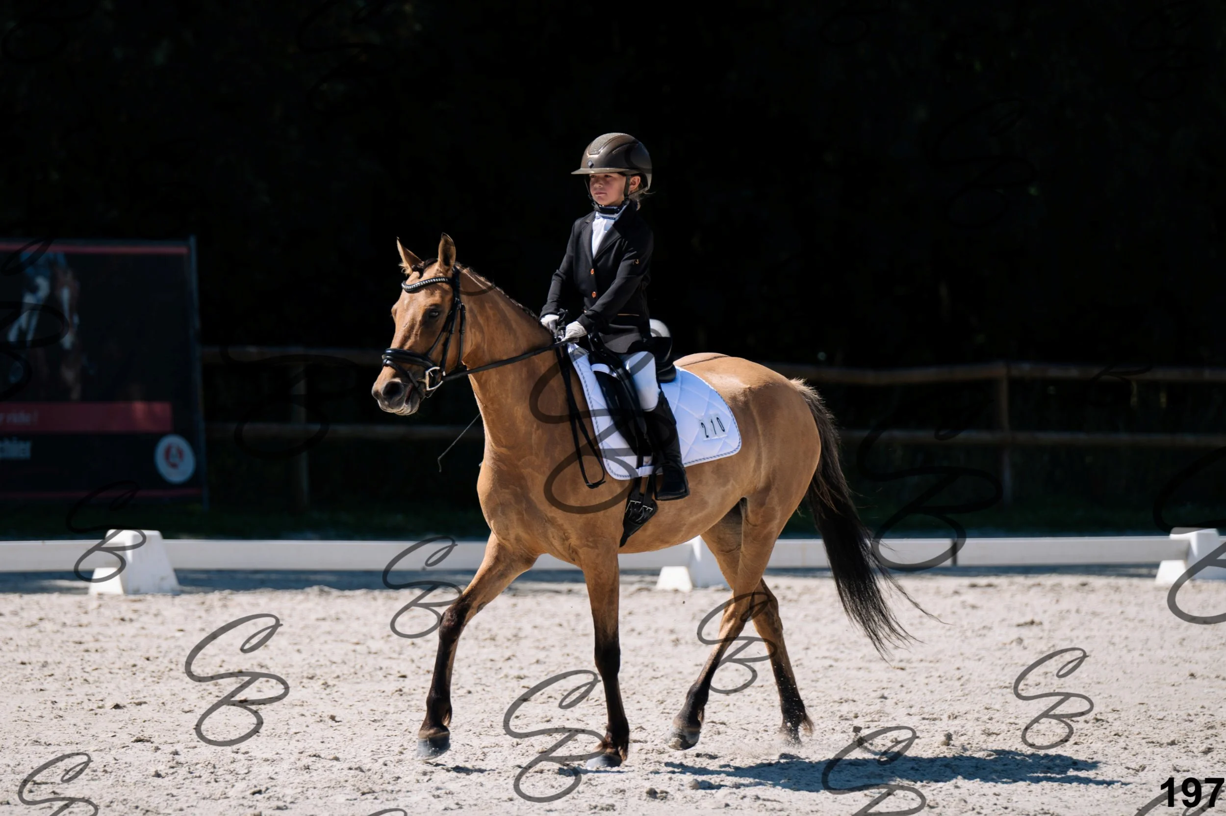 2026.07.12 -106 Niveau Initiation Poneys - Ini.6-14.jpg