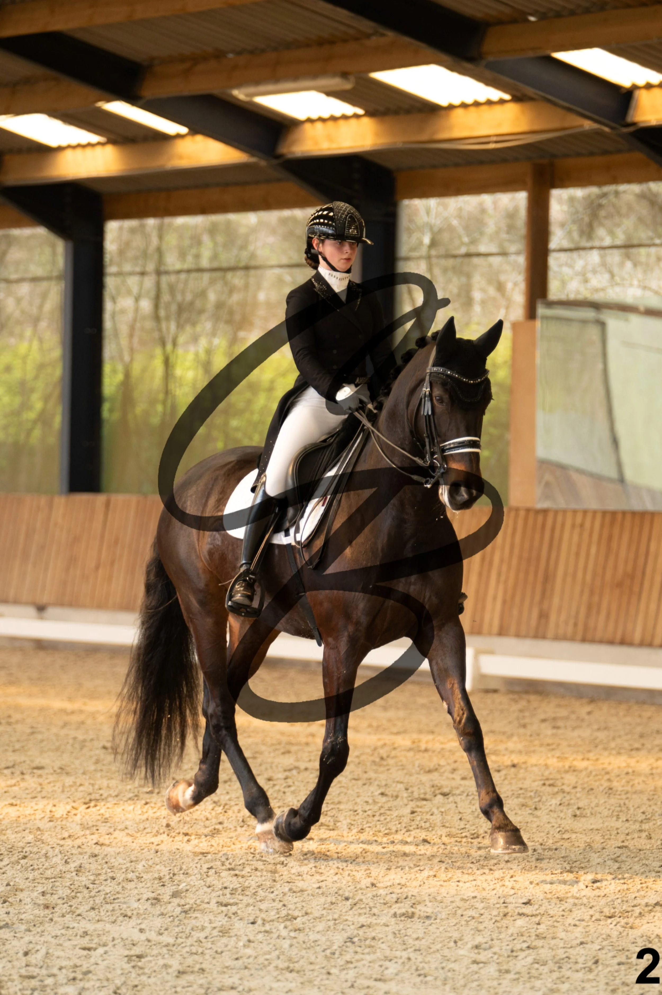 2026.03.22 - Niv5 - Young rider team-2.jpg