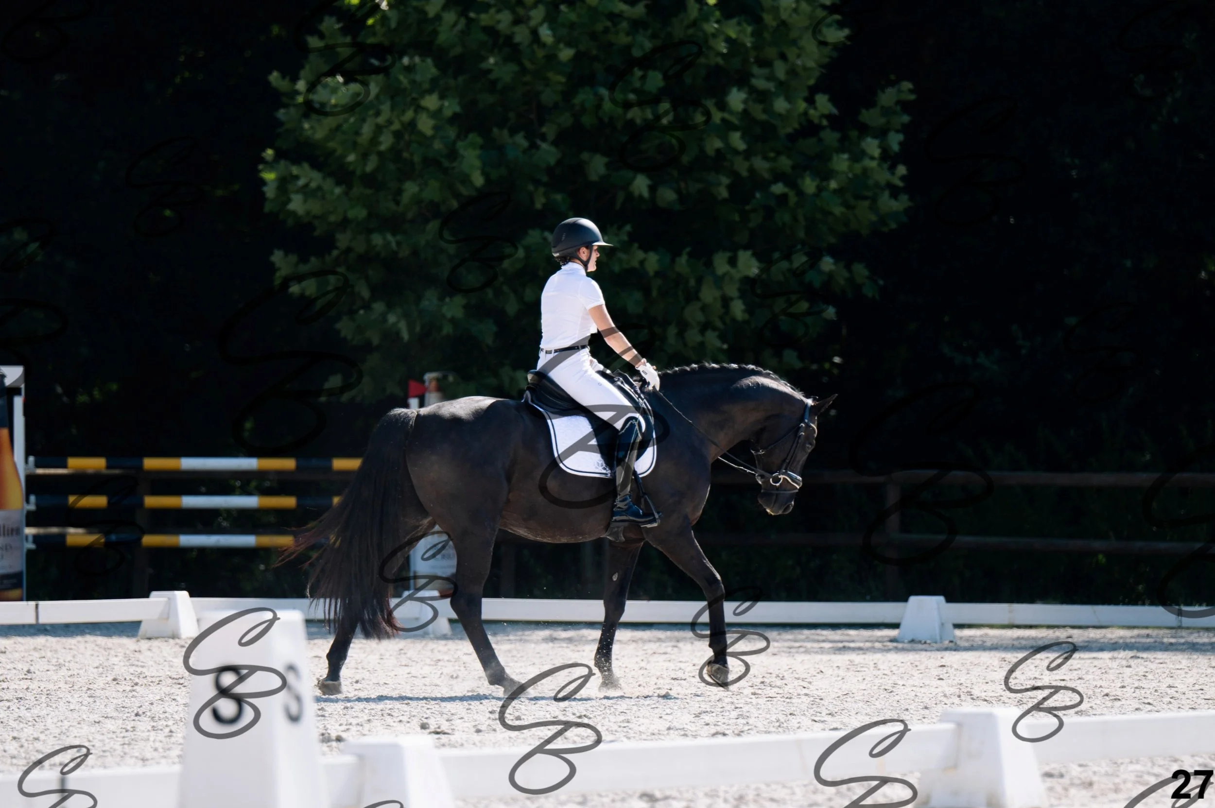 2026.07.12 - Jeunes chevaux - FEI 5YH Preliminary Test-27.jpg