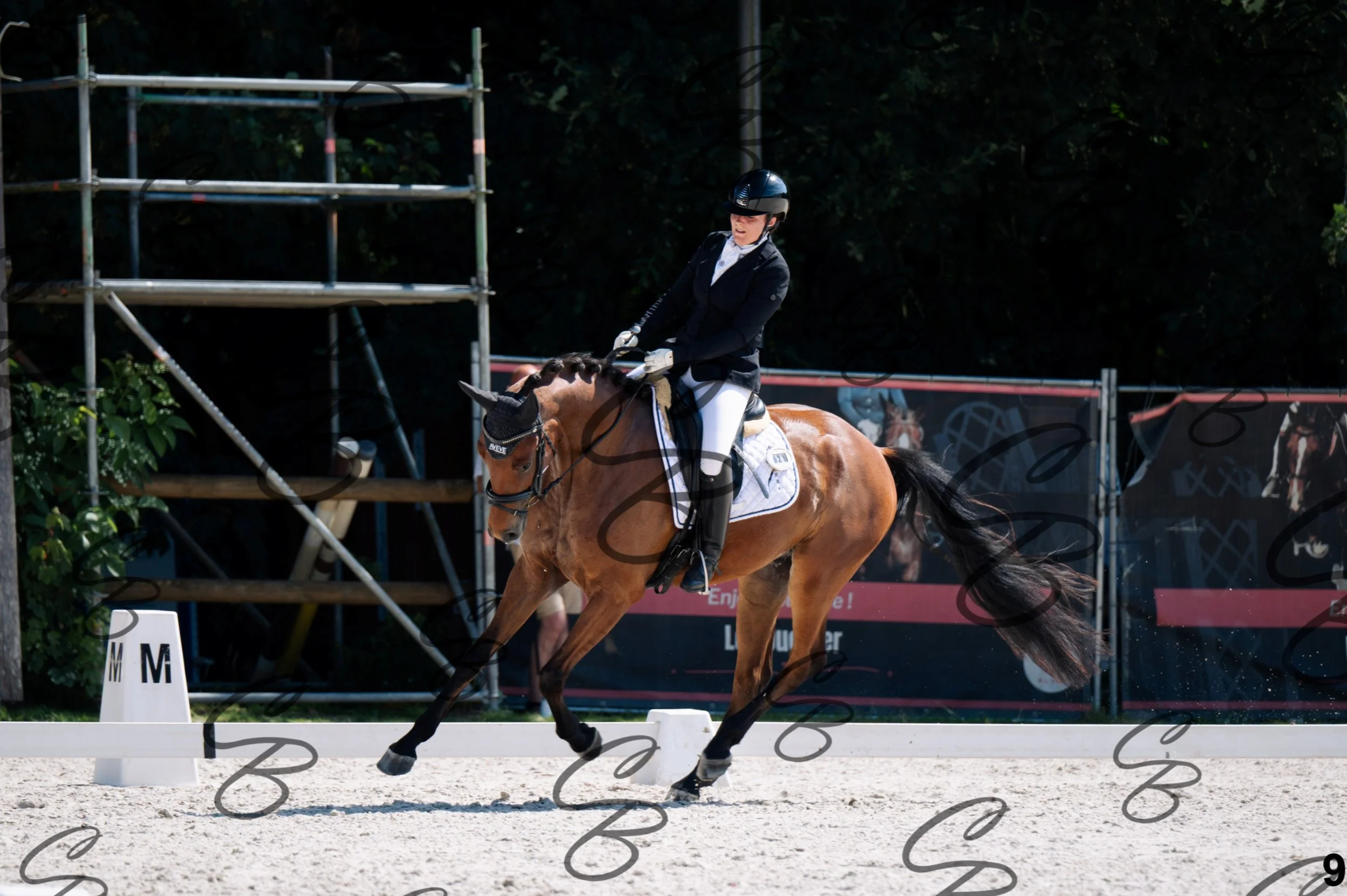 2026.07.12 - Jeunes chevaux - FEI 4YH Final Test-9.jpg