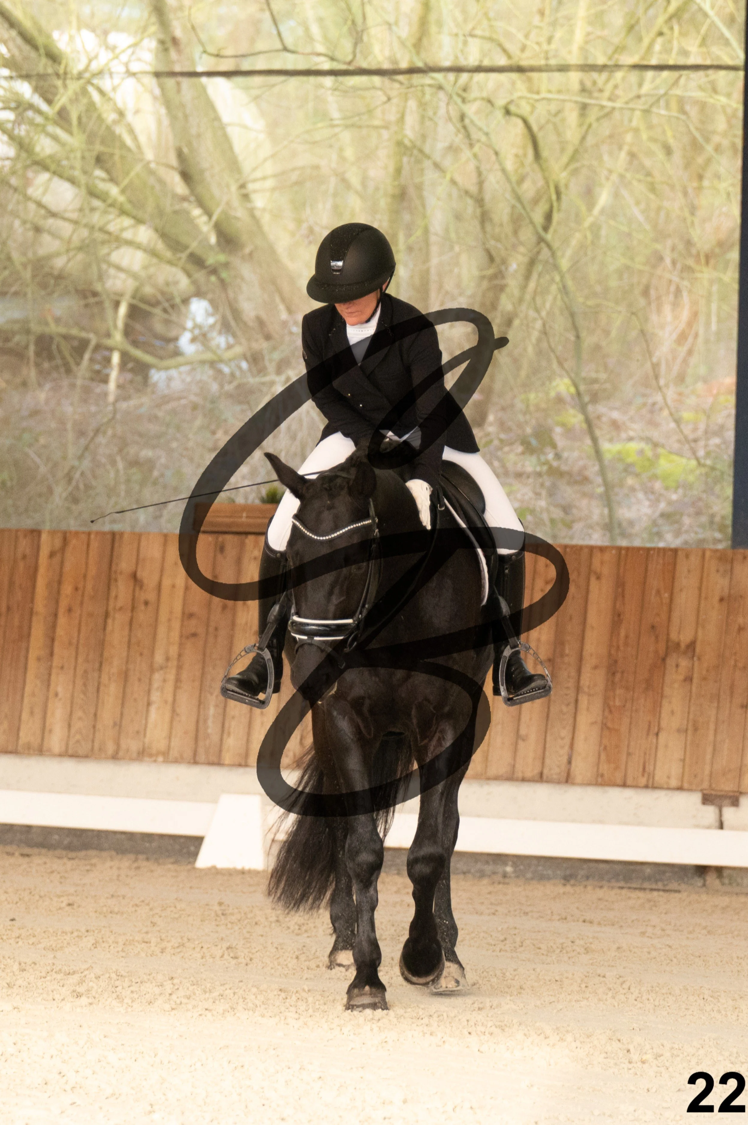 2026.03.22 - jeunes chevaux - 5ans-22.jpg