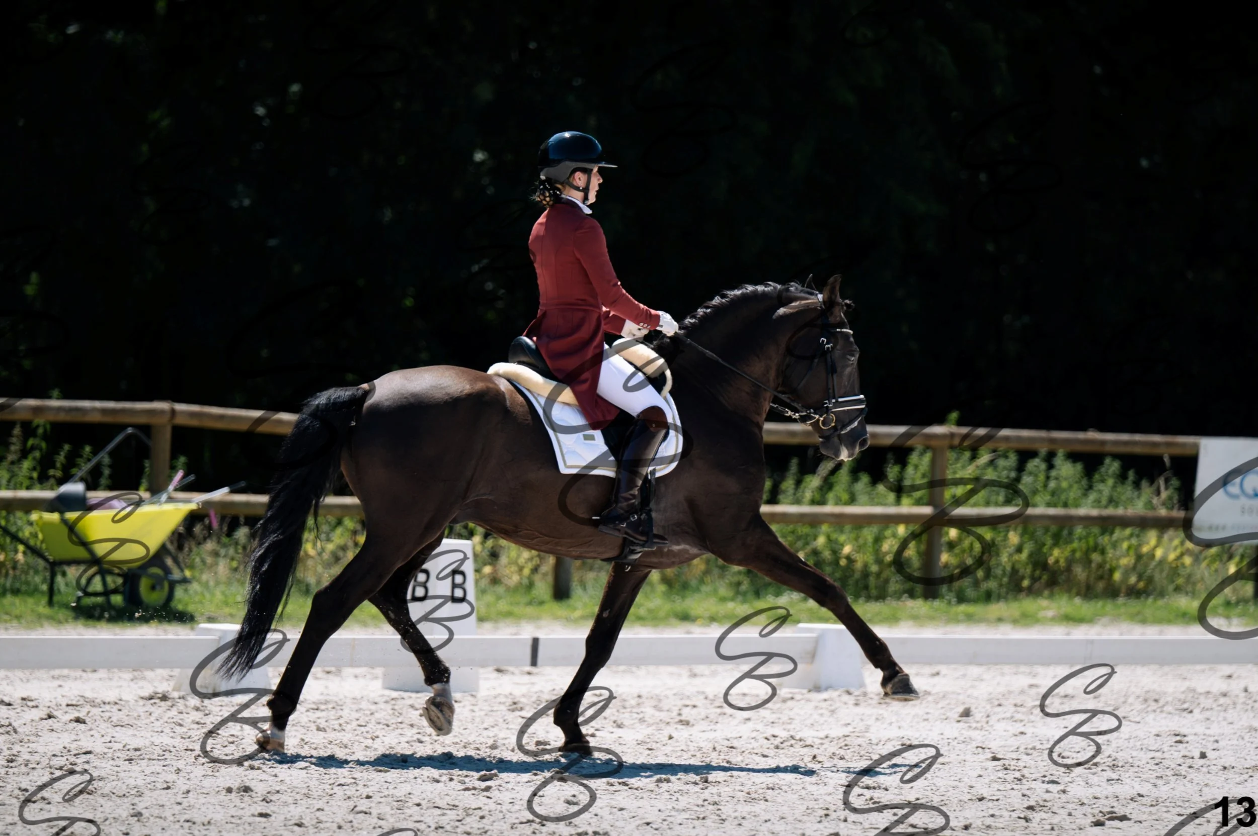 2026.07.11 - 13 Reyale - Niveau 6 - REYALE-13.jpg