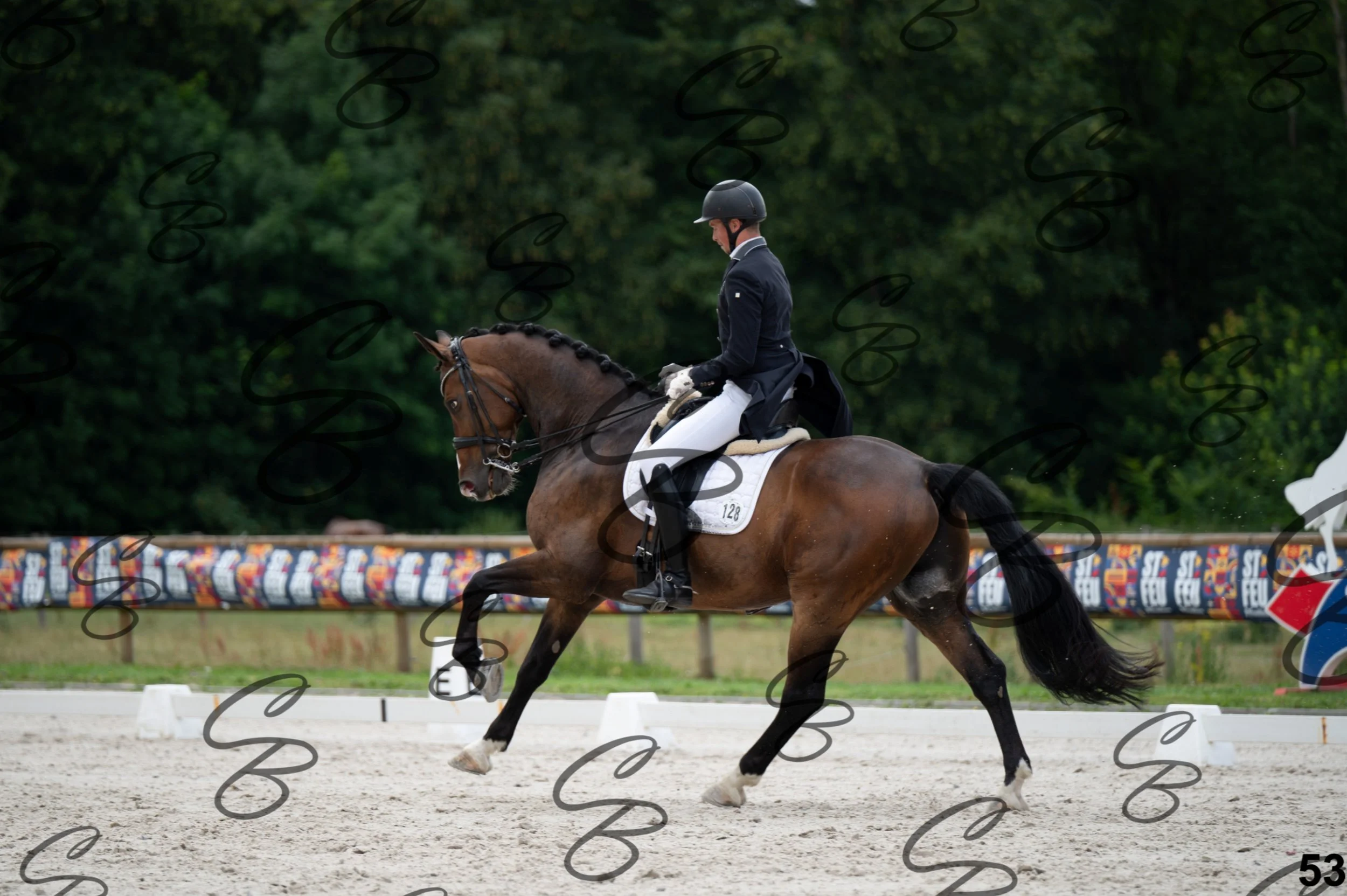 2026.07.04 - 4 Woutter D'hHoore-8.jpg