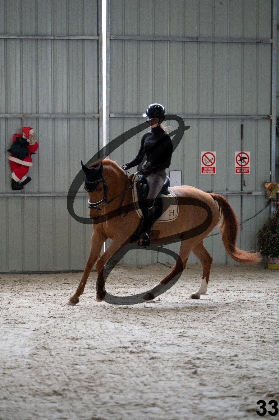 2025.12.06 - Manon&Mexx-33.jpg