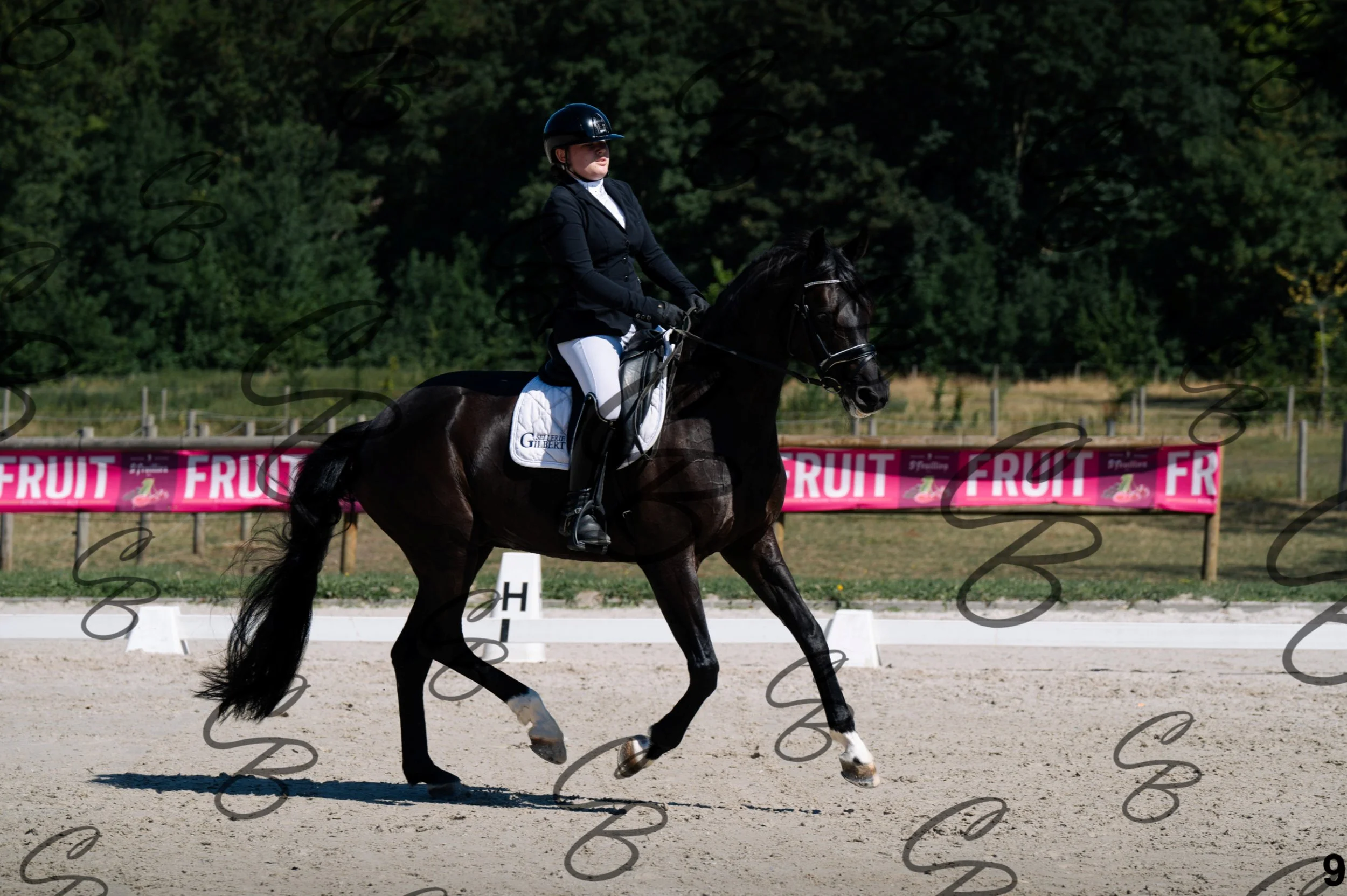 2026.07.12 - 21 Junior - Niveau 3 - FEI Junior Team Test-9.jpg