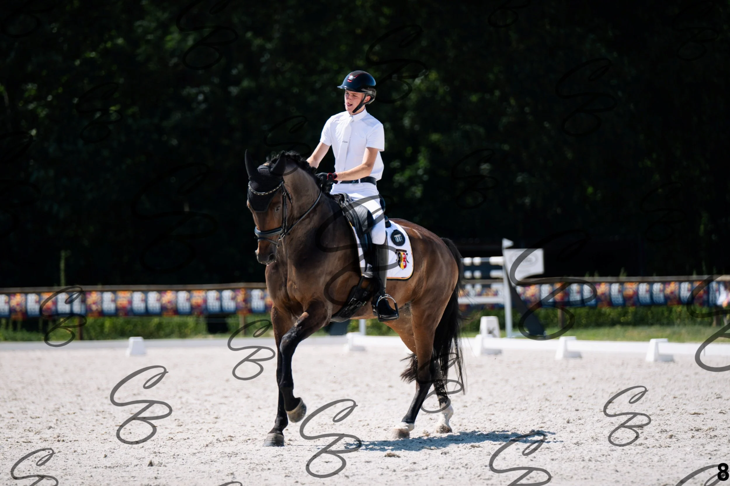 2026.07.12 - Jeunes chevaux - FEI 6YH Preliminary Test-8.jpg