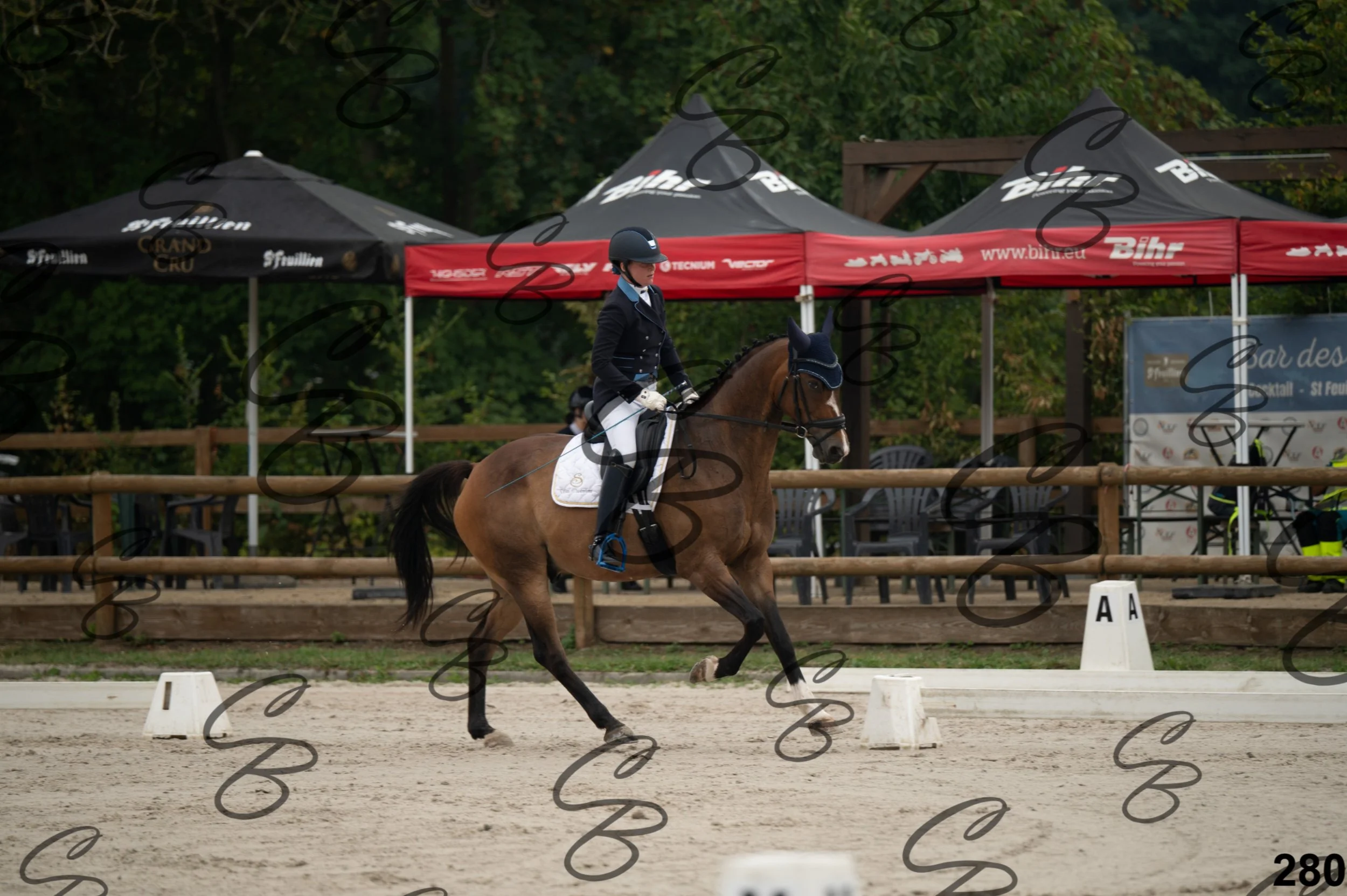 2026.08.15 - Louchier - GHO-400.jpg
