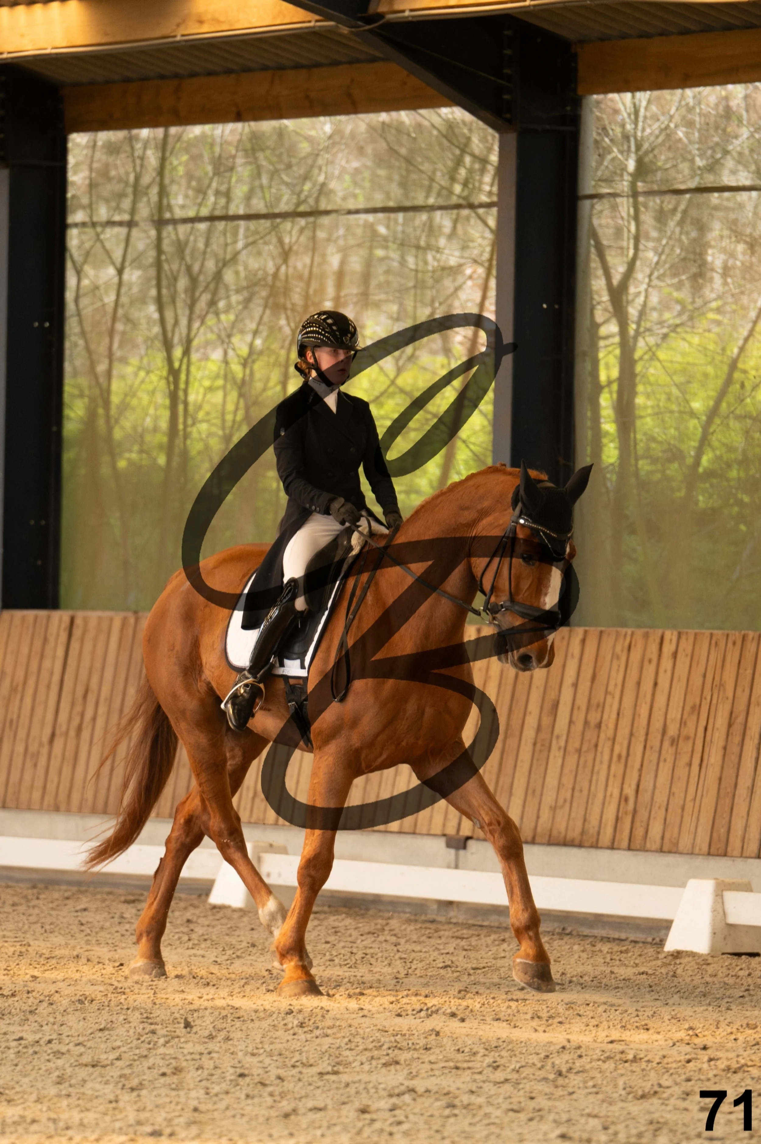 2026.03.22 - Niv4 - junior team test-71.jpg