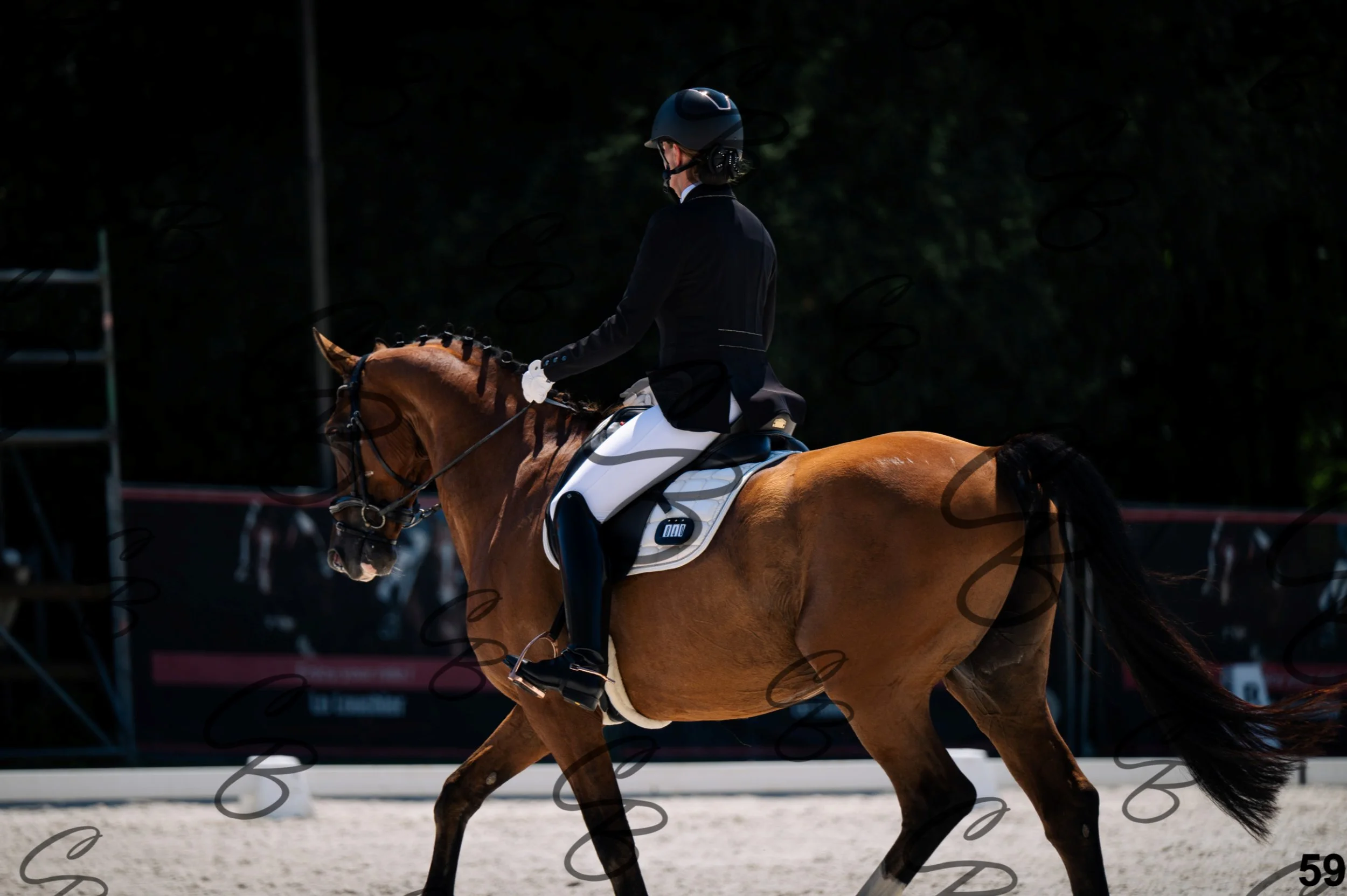 2026.07.12 - Niveau 1 - N1.5-59.jpg