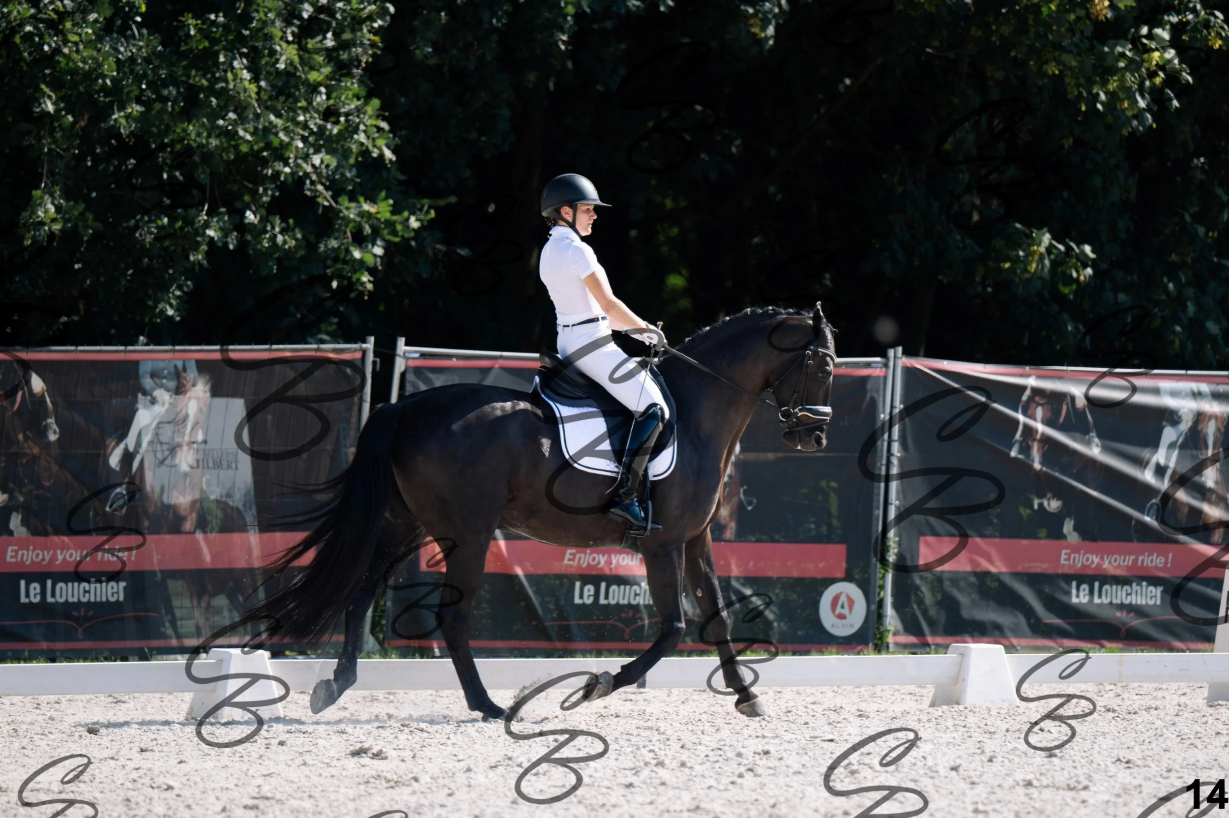 2026.07.12 - Jeunes chevaux - FEI 5YH Preliminary Test-14.jpg