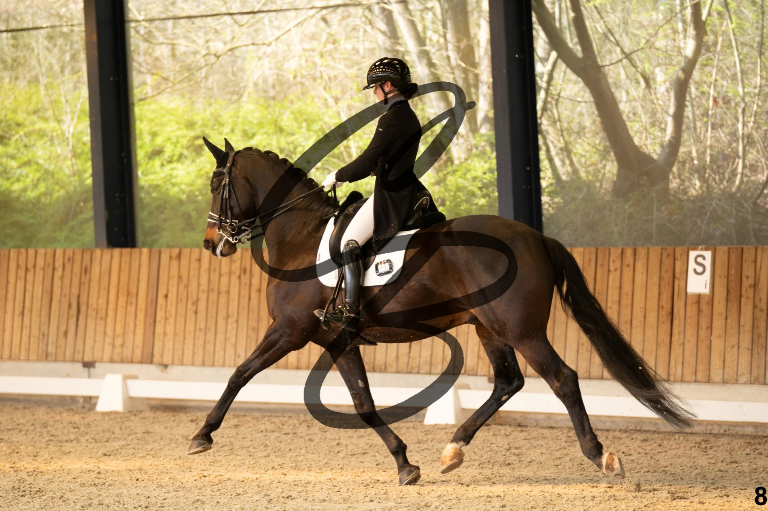 2026.03.22 - Niv5 - Young rider team-8.jpg