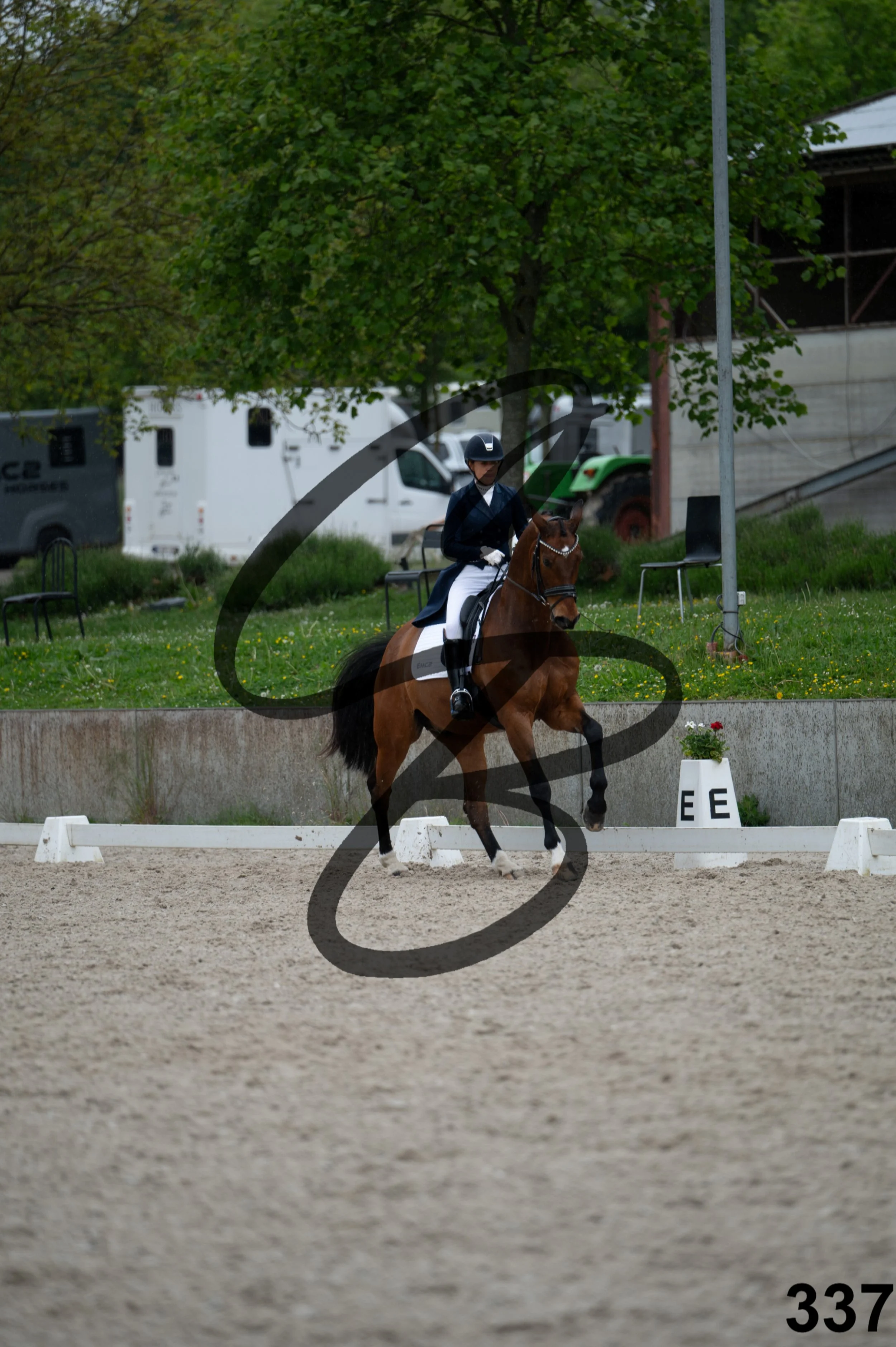 03052026-FLE_7686.jpg