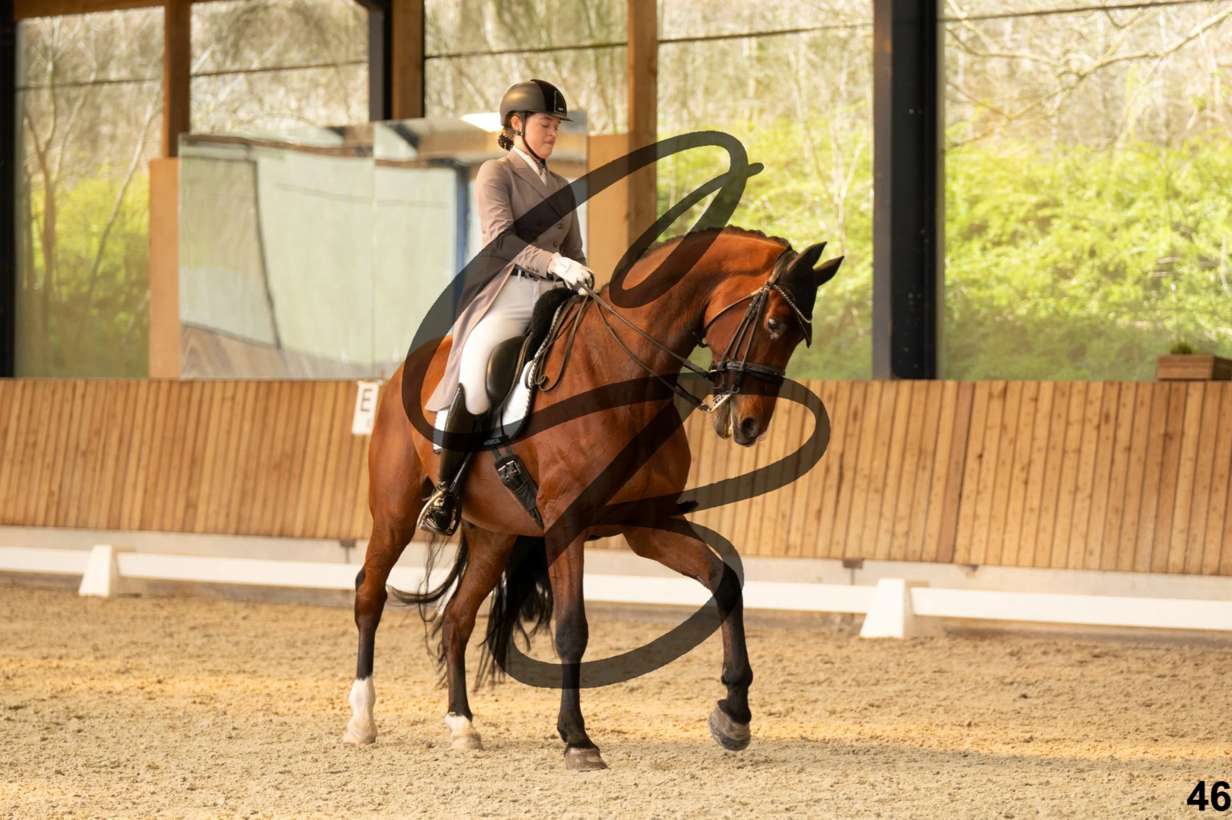 2026.03.22 - Niv5 - Young rider team-46.jpg