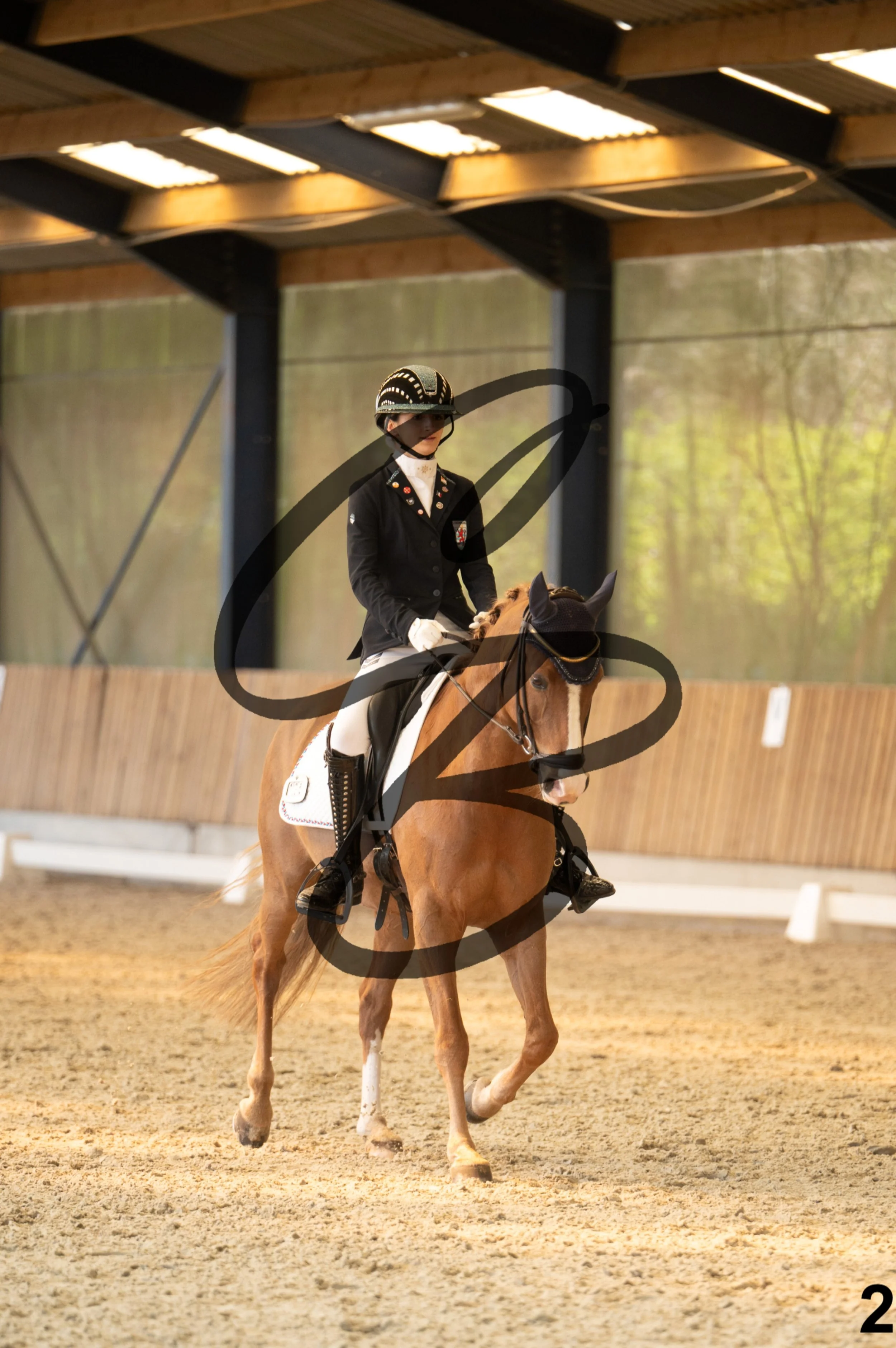 2026.03.22 - Niv3 - Pony individual test-2.jpg