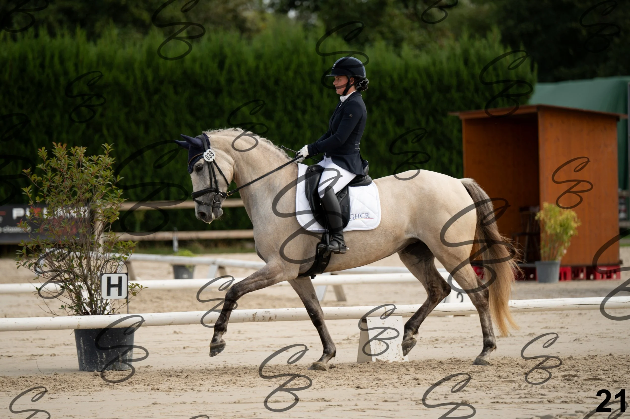 2026.09.20 - Djessy-21.jpg