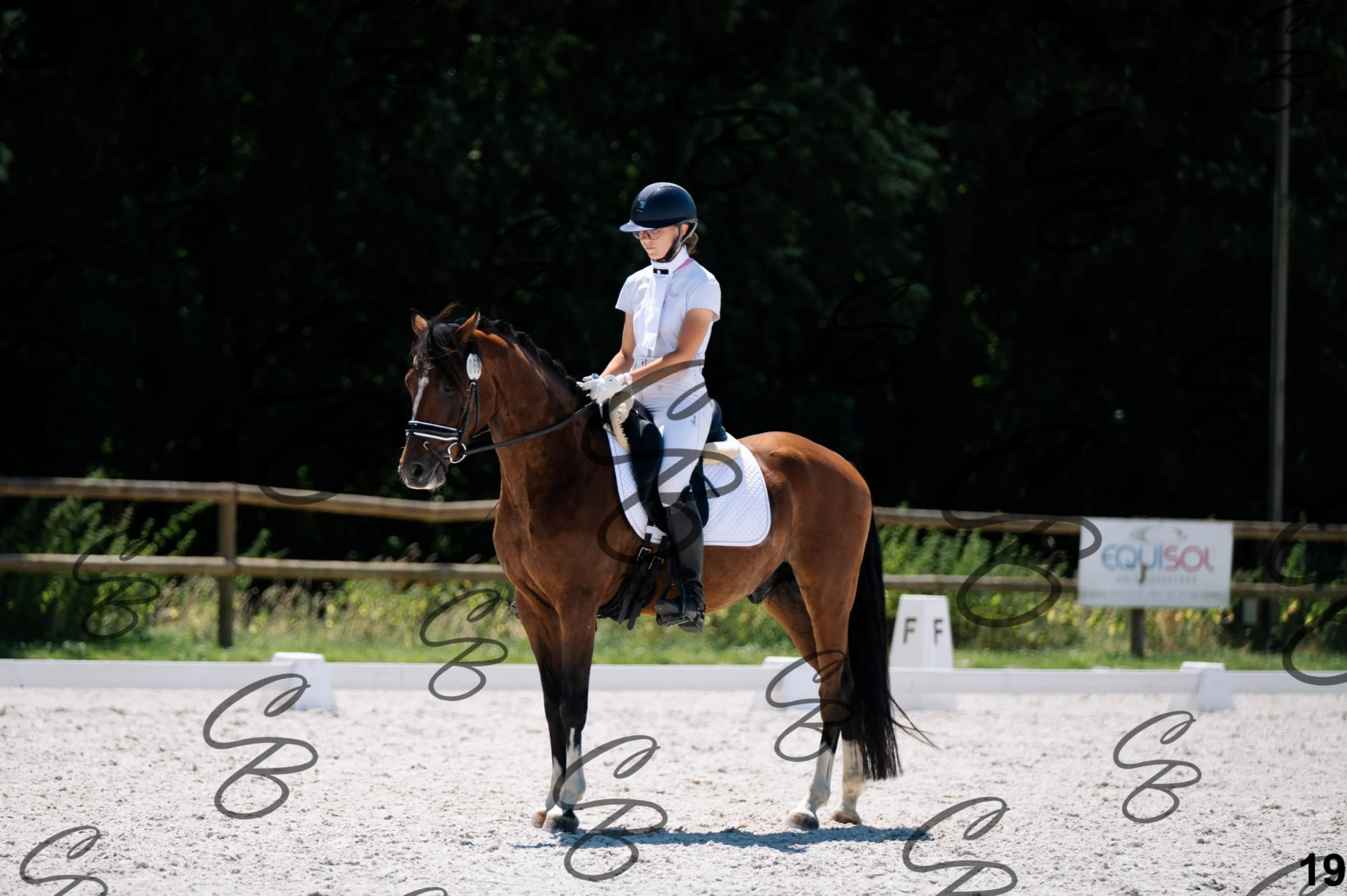 2026.07.12 - Niveau 1 - N1.5-19.jpg