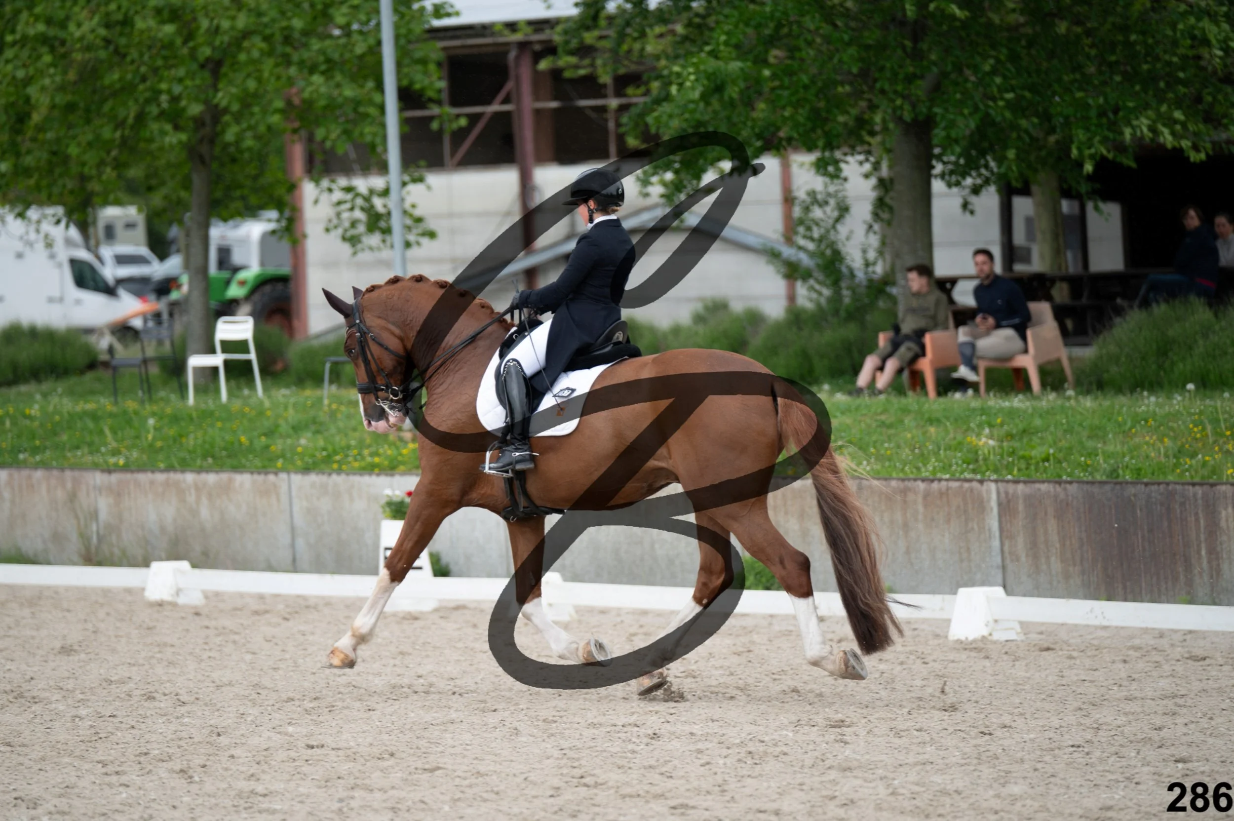 03052026-FLE_7457.jpg